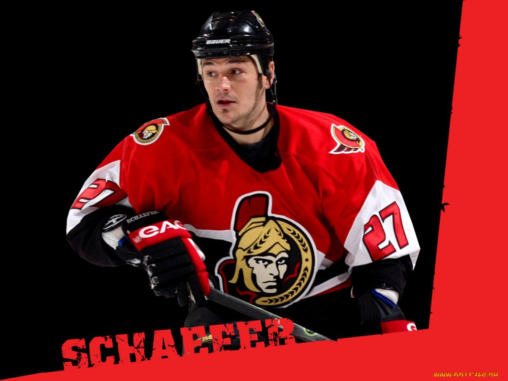 shinoda, спорт, nhl