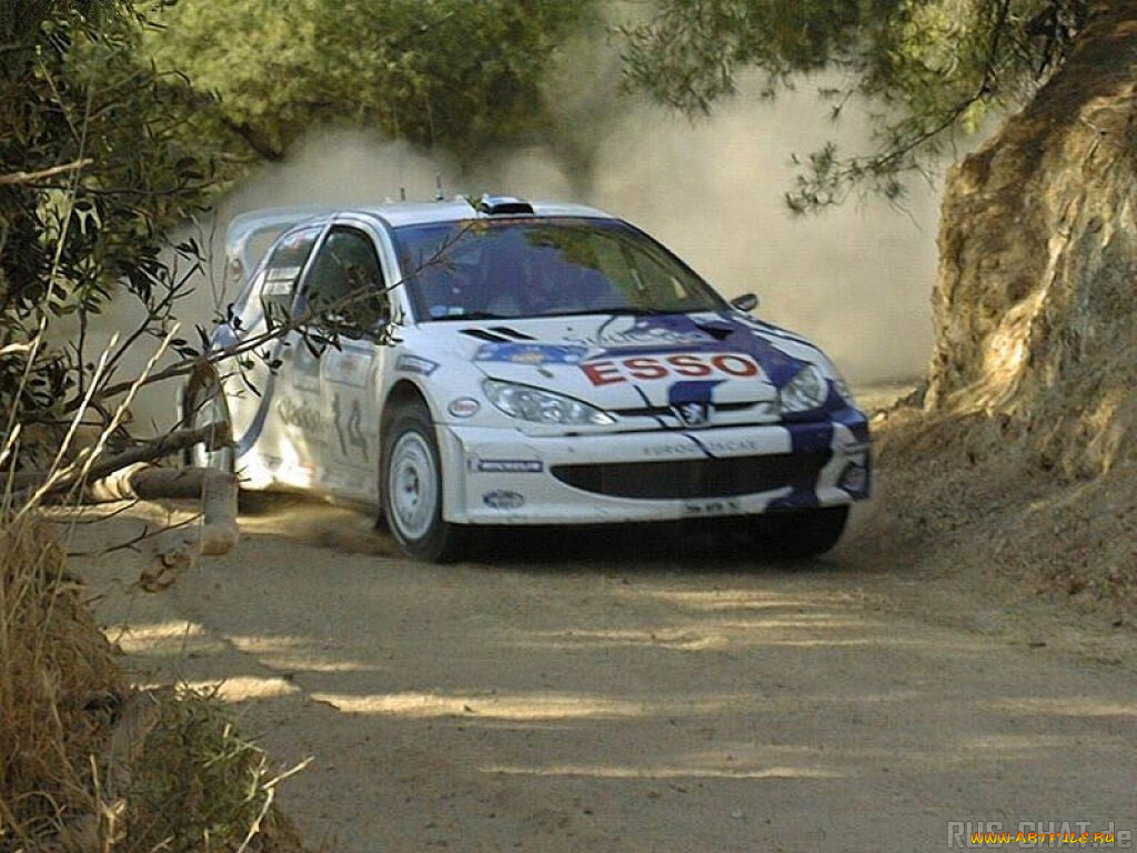 спорт, авторалли