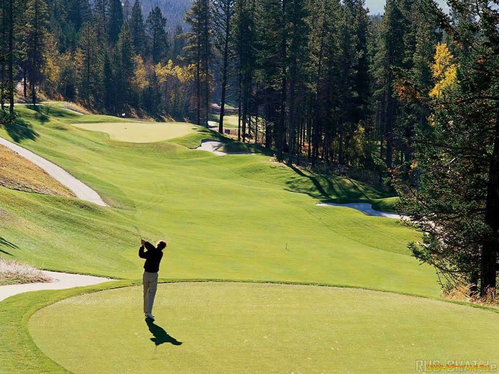 спорт, гольф