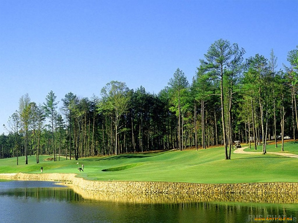 спорт, гольф