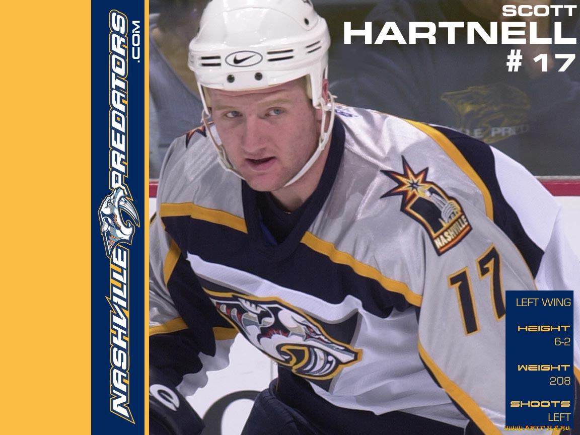 shinoda, спорт, nhl