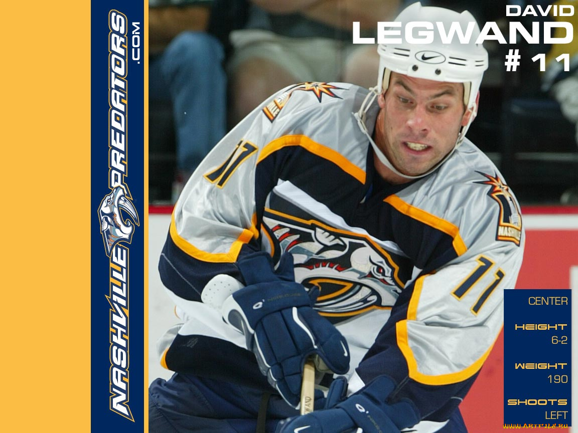 shinoda, спорт, nhl