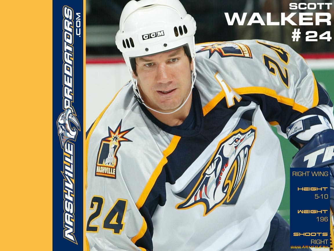 shinoda, спорт, nhl