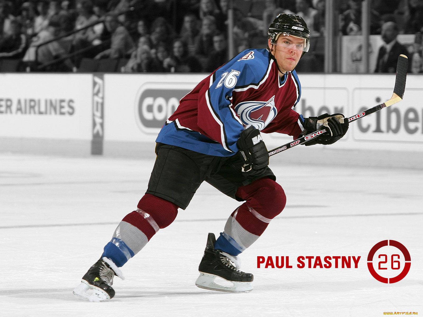 shinoda, спорт, nhl