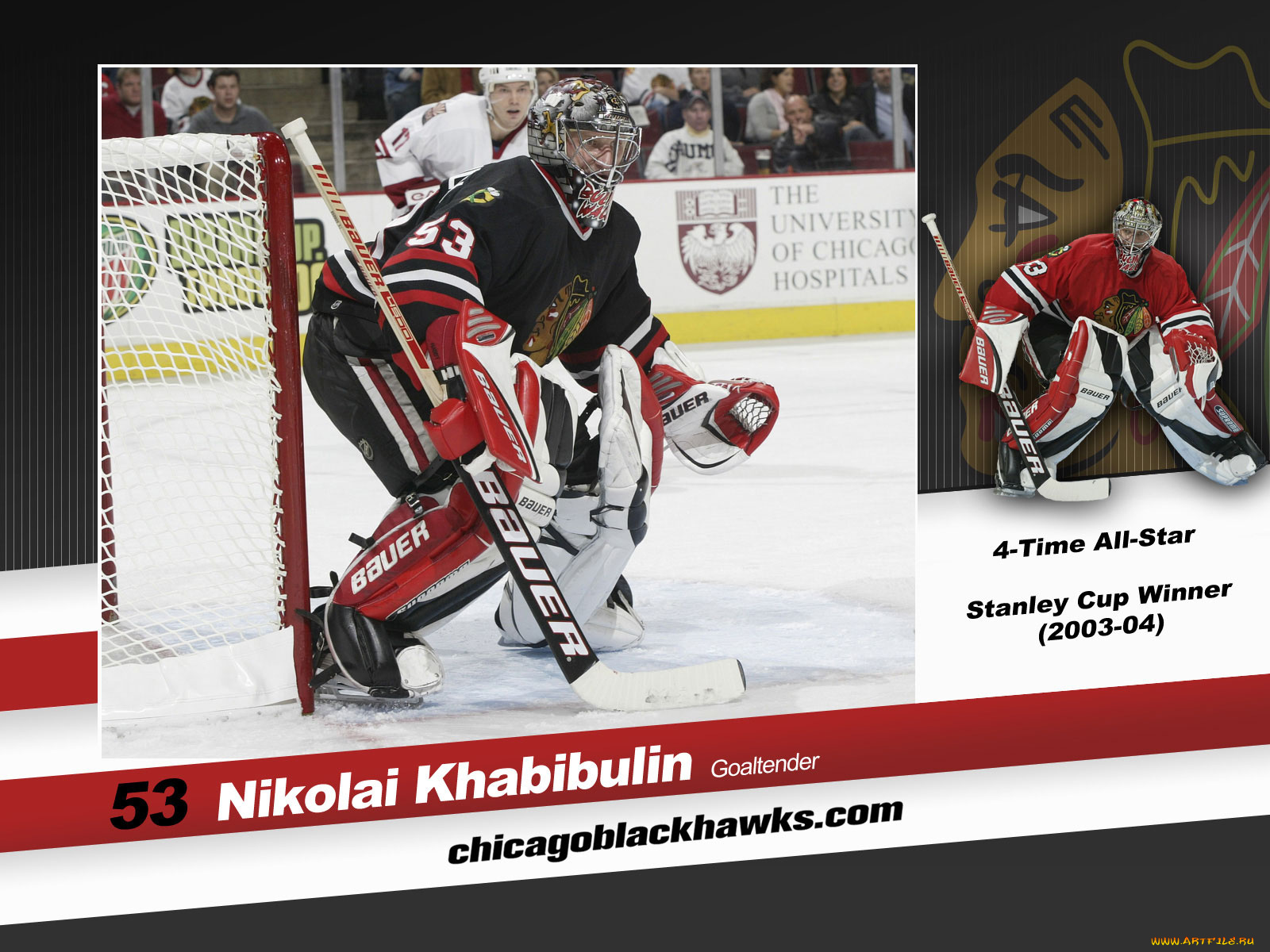 shinoda, спорт, nhl