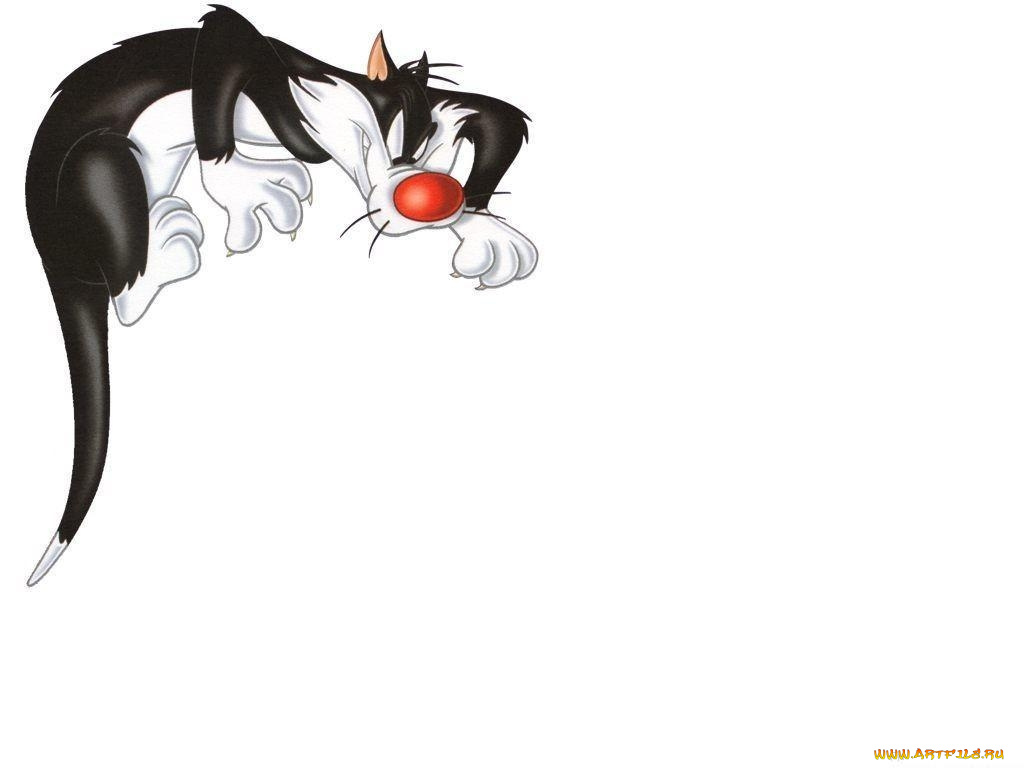 мультфильмы, looney, tunes