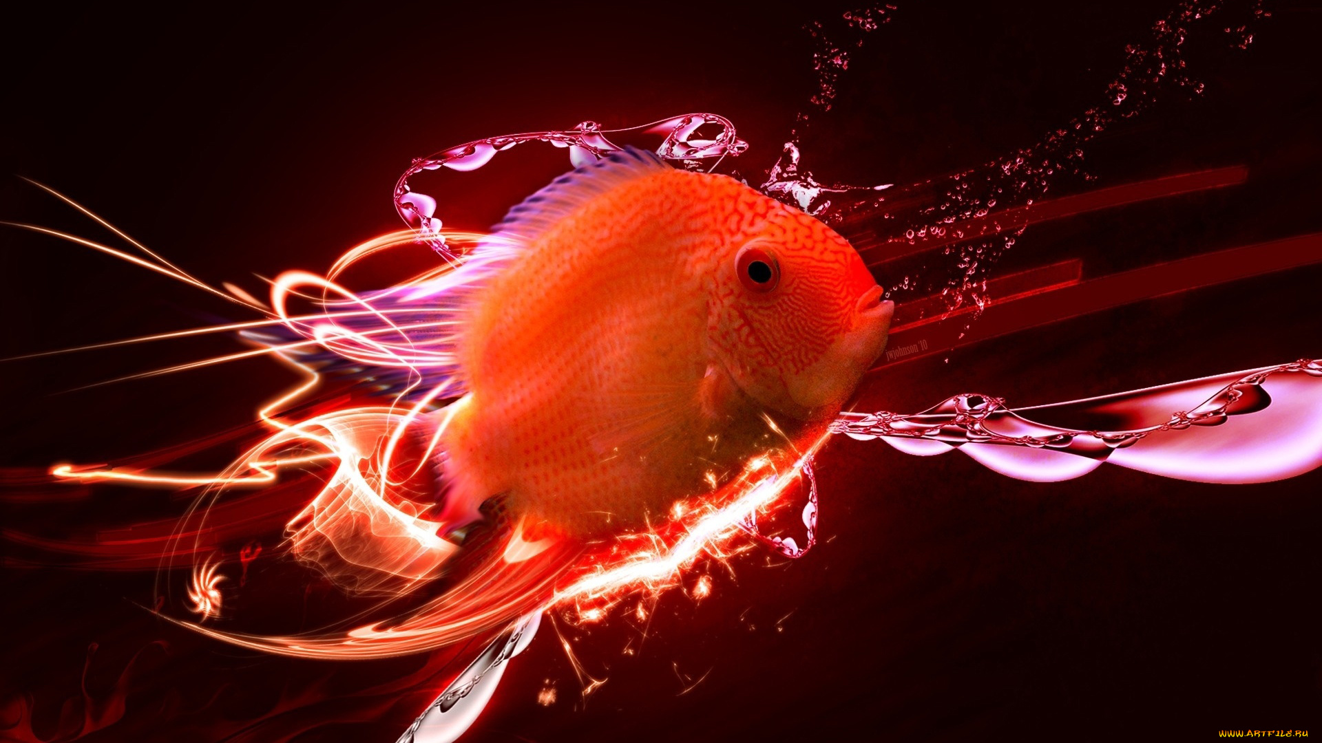 разное, компьютерный, дизайн, рыбка