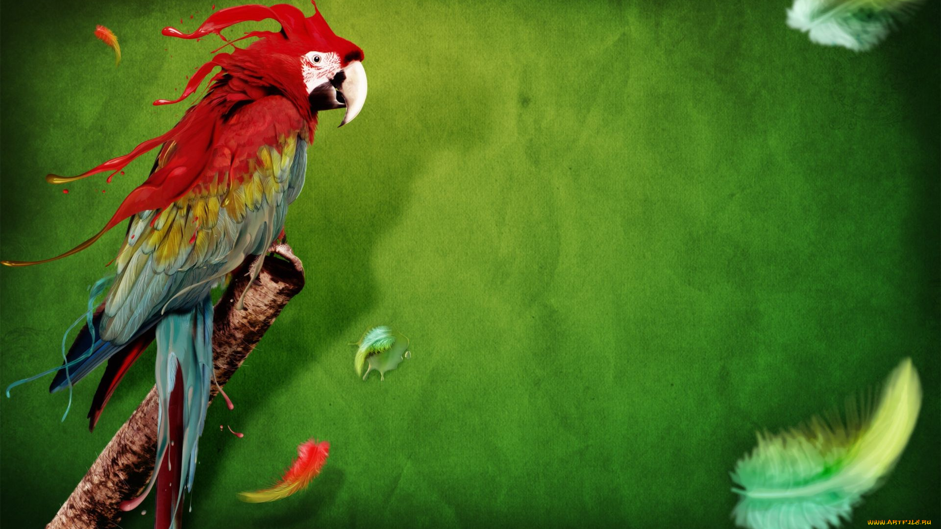 рисованные, животные, попугай, ара