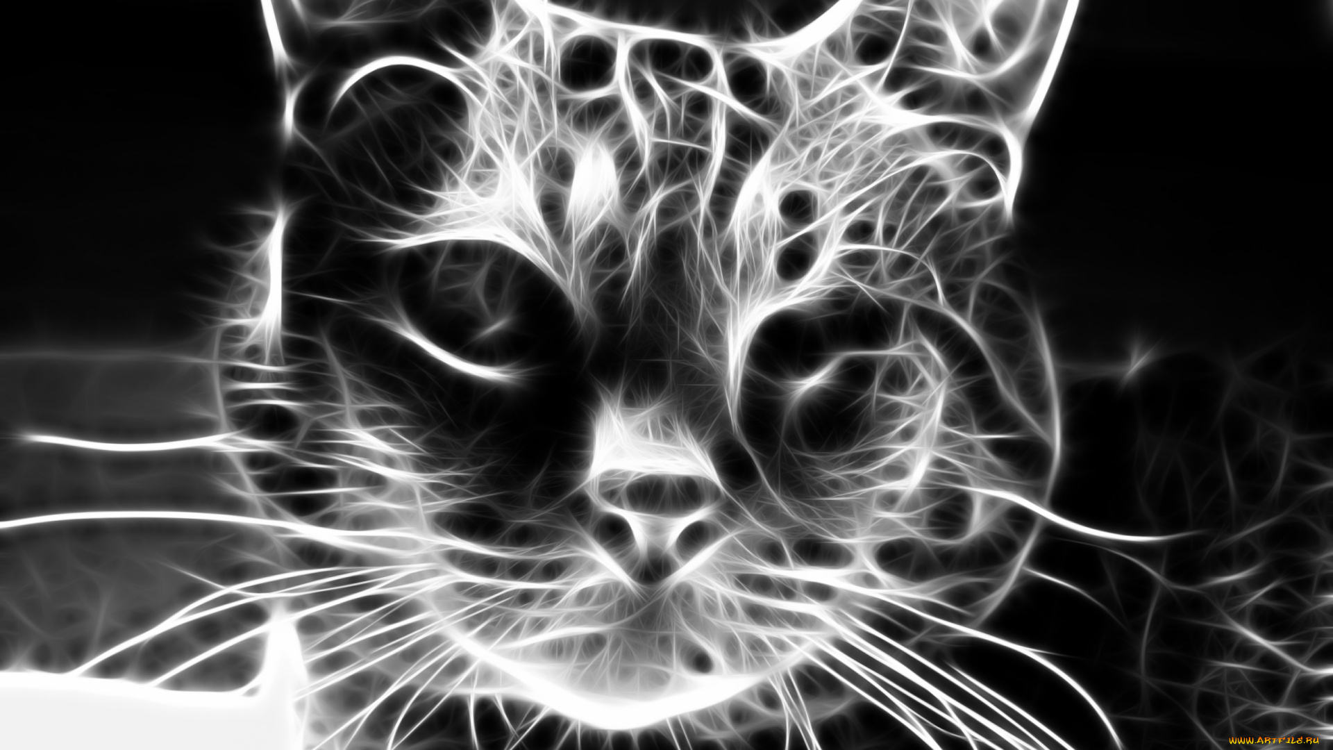 3д, графика, animals, животные, кот