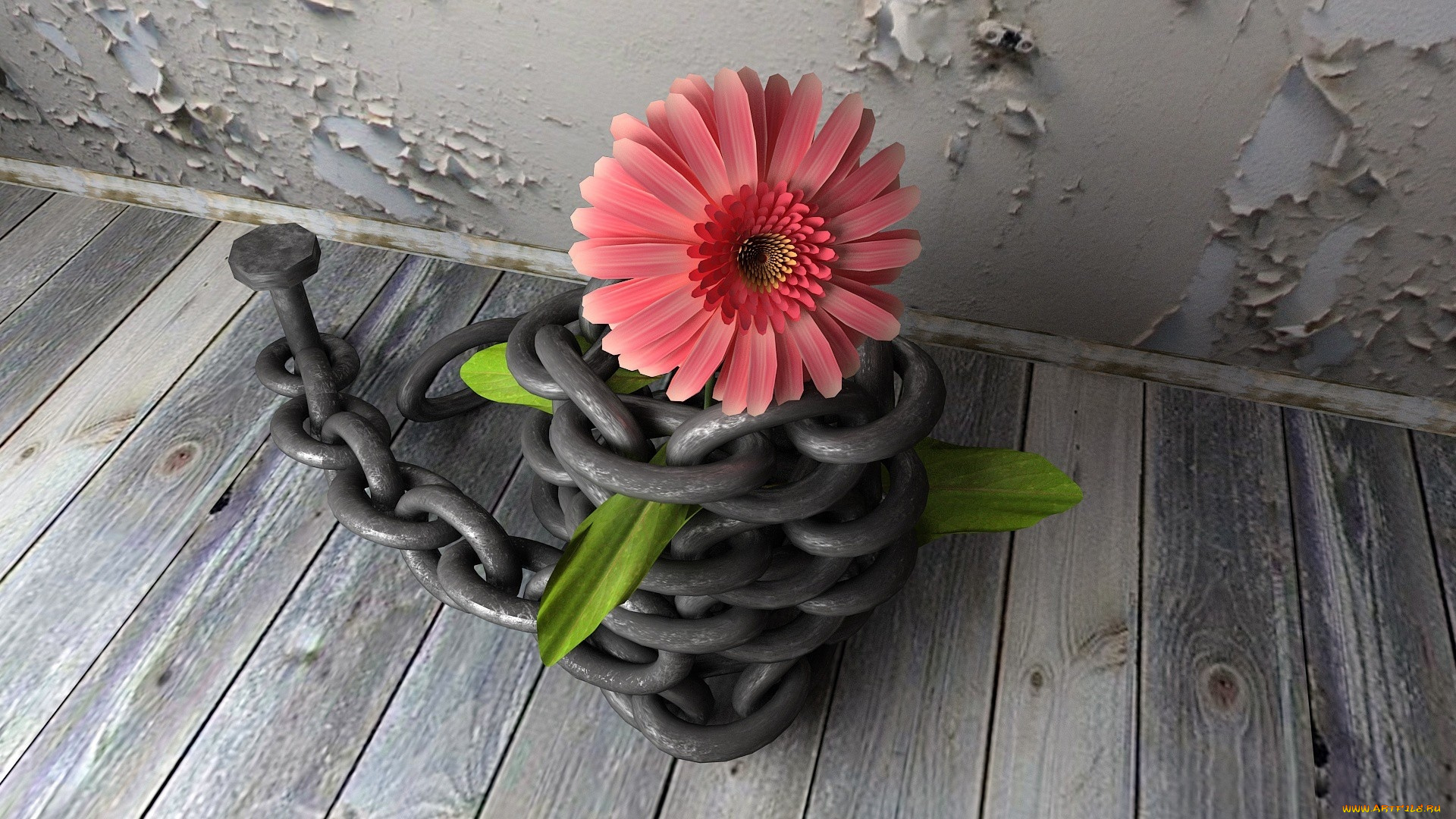 3д, графика, flowers, цветы, доски, гербера, цепь