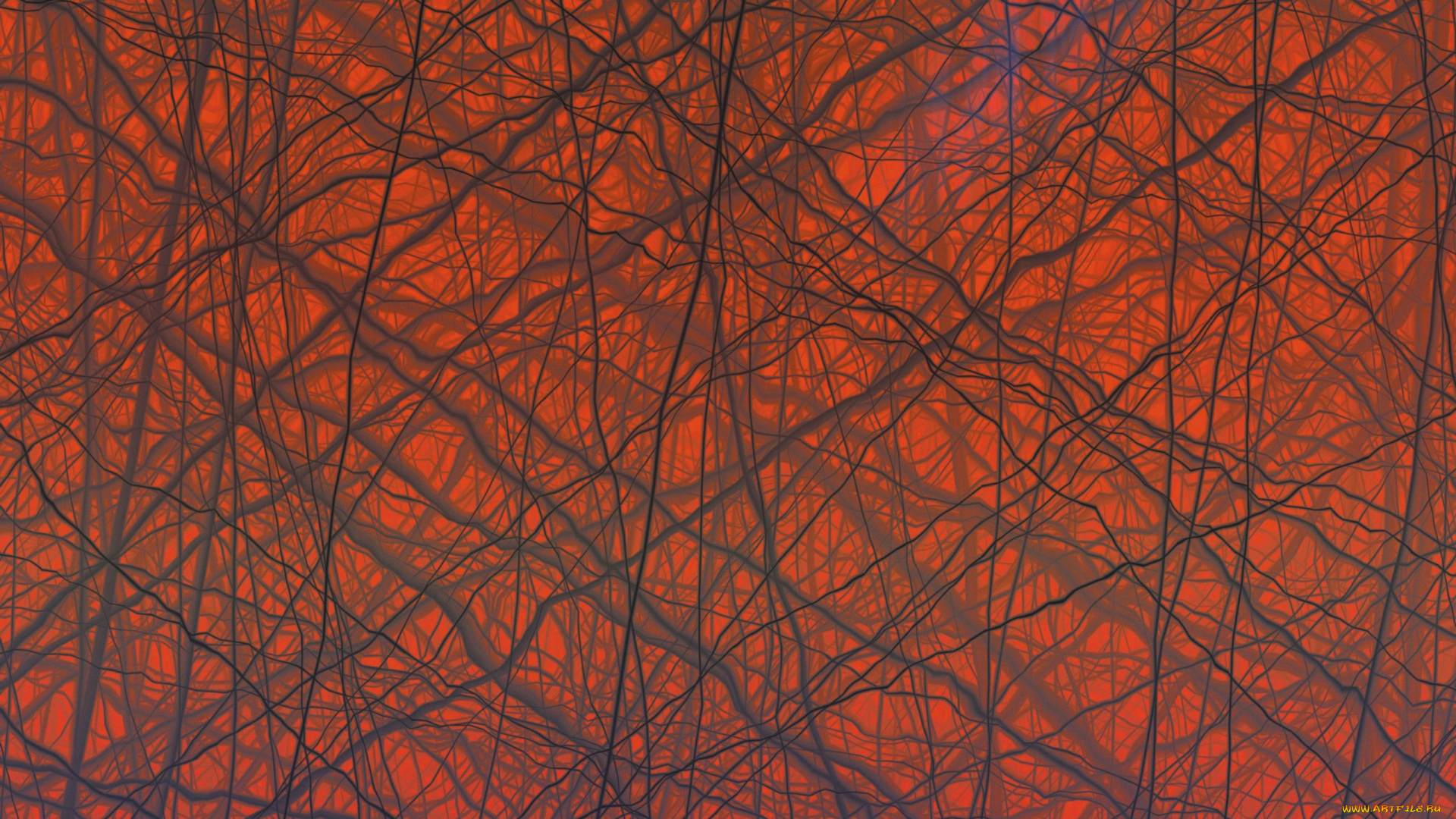 3д, графика, textures, текстуры, узор, цвета