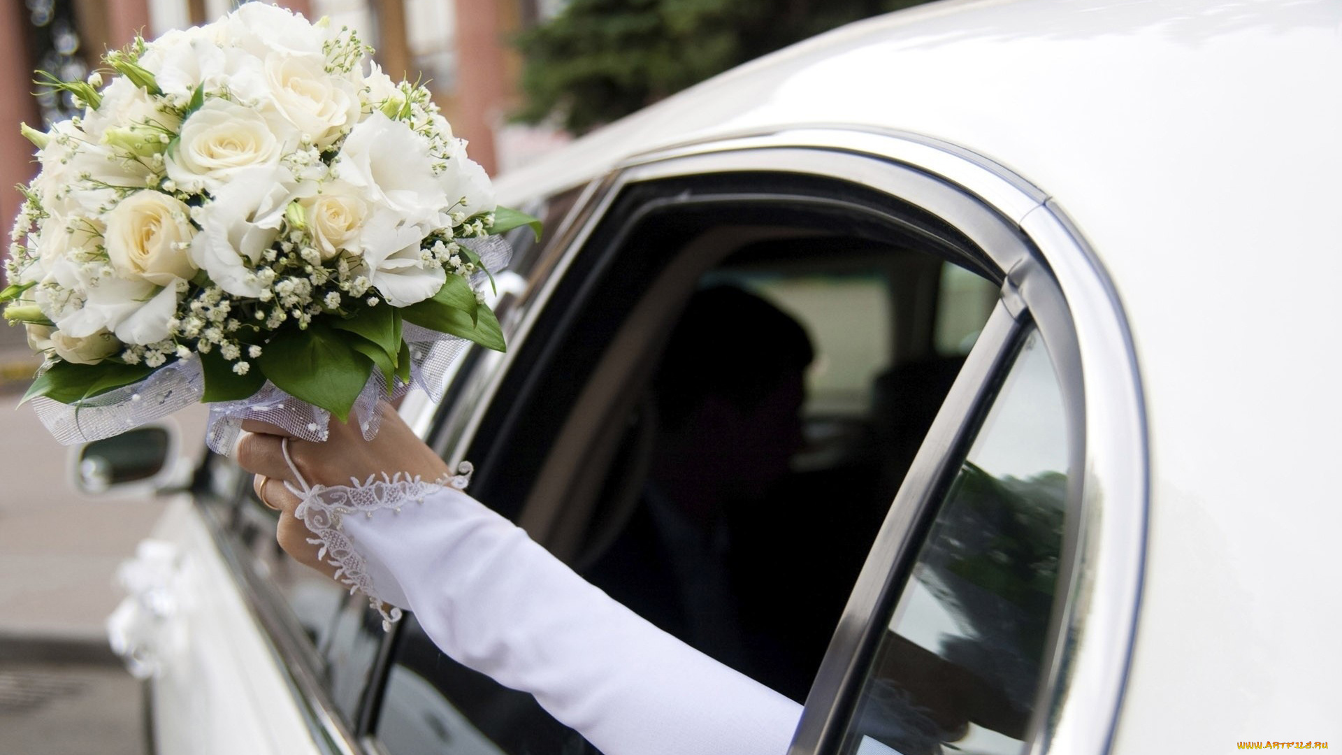 цветы, букеты, композиции, букет, невесты