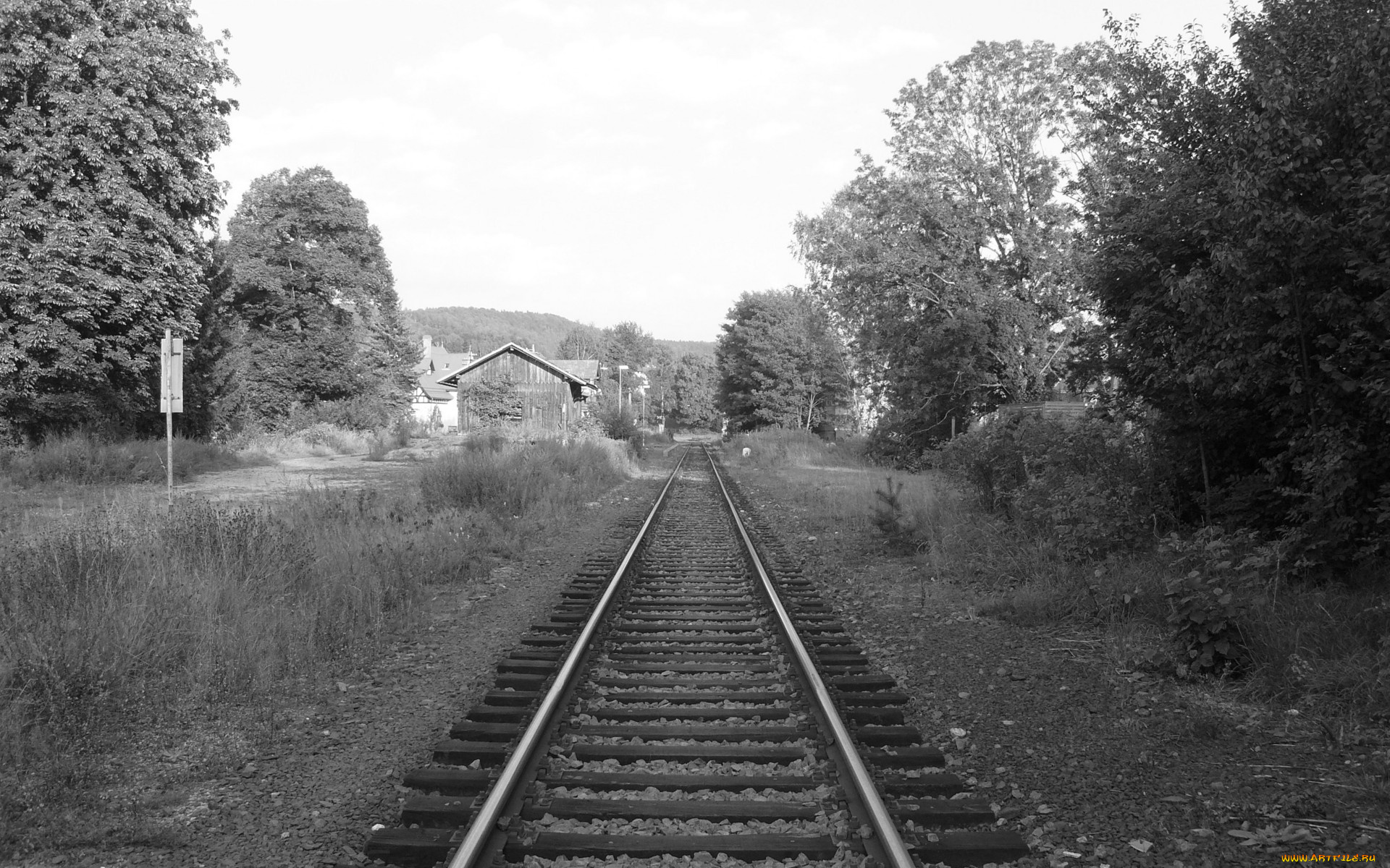 разное, транспортные, средства, магистрали, черно-белое, фото