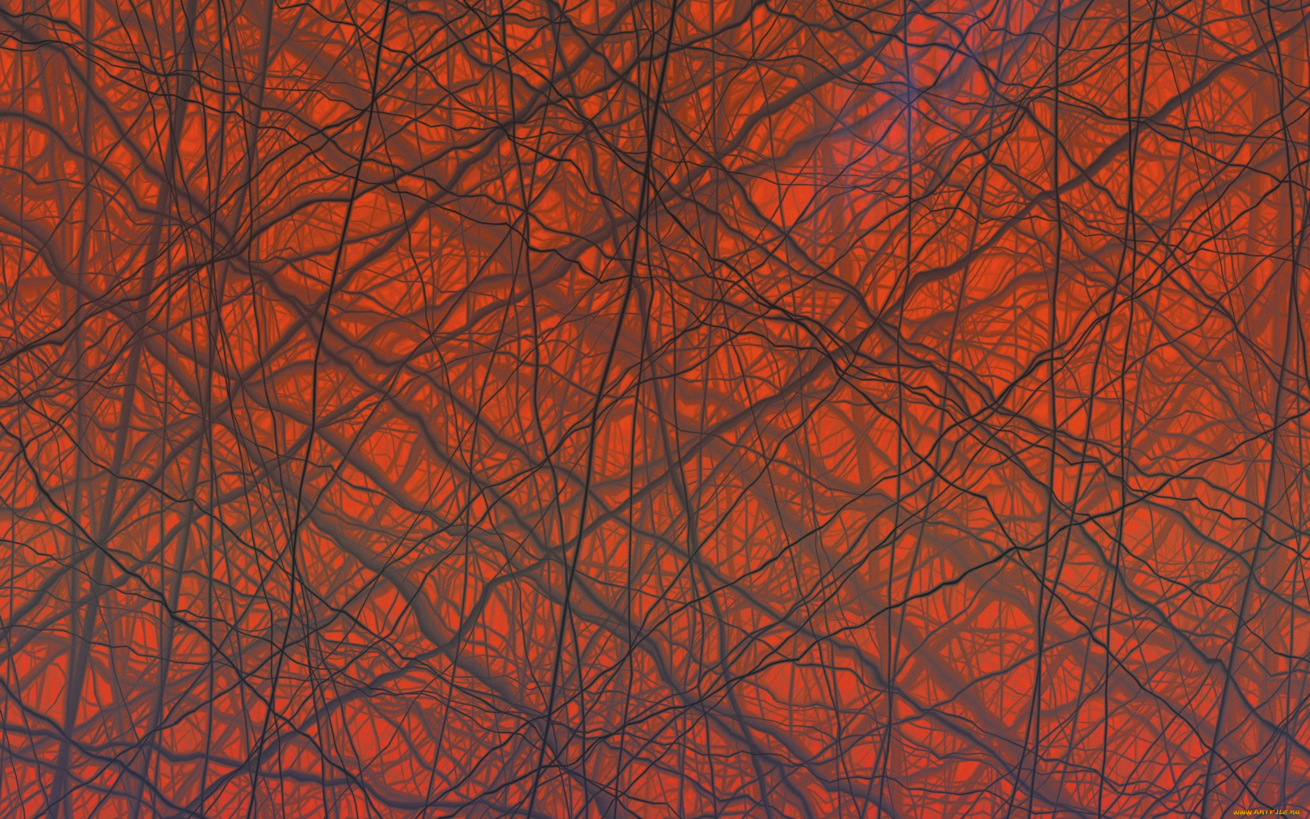 3д, графика, textures, текстуры, узор, цвета