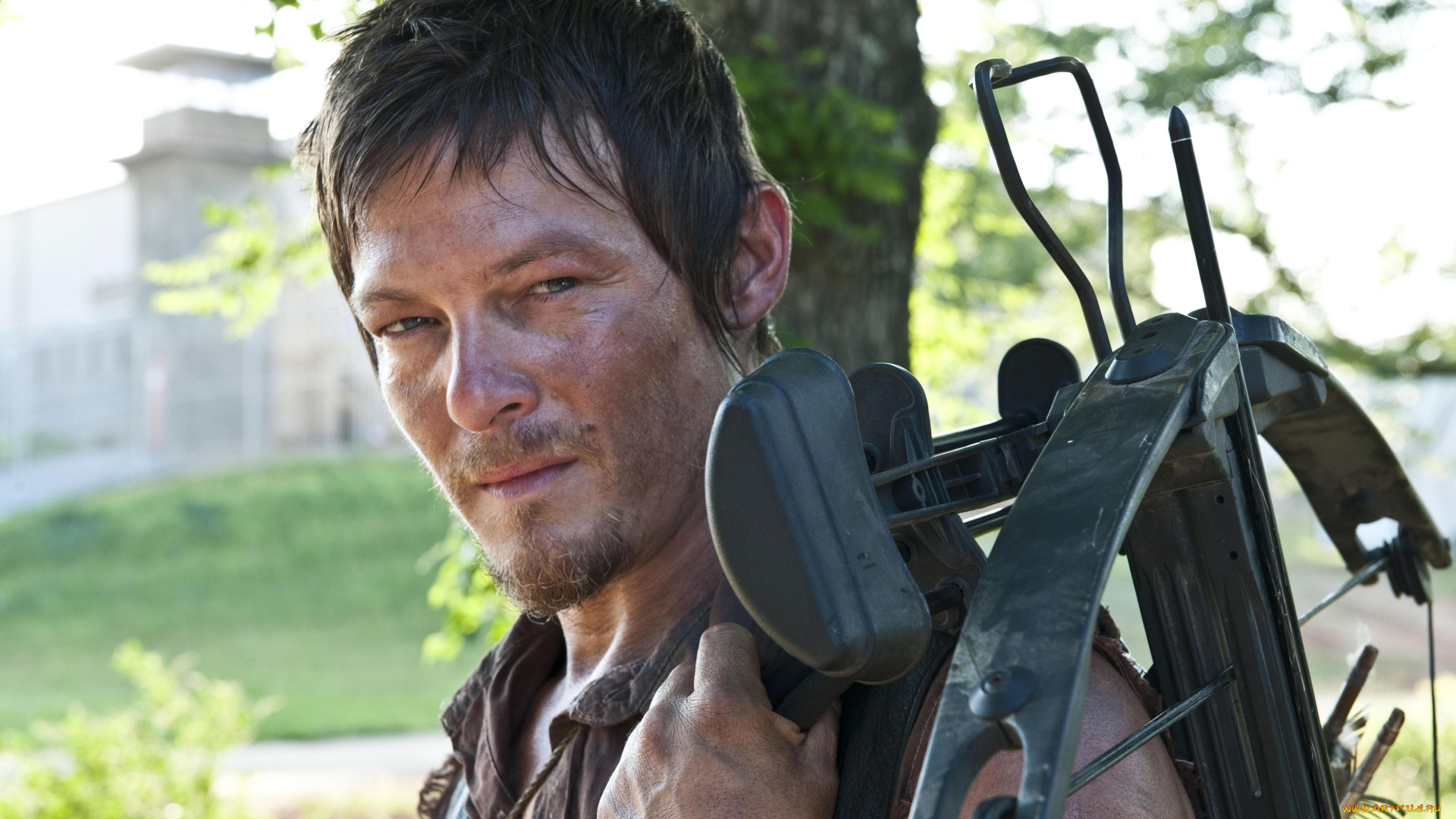 кино, фильмы, the, walking, dead, дерил, арбалет, стрела