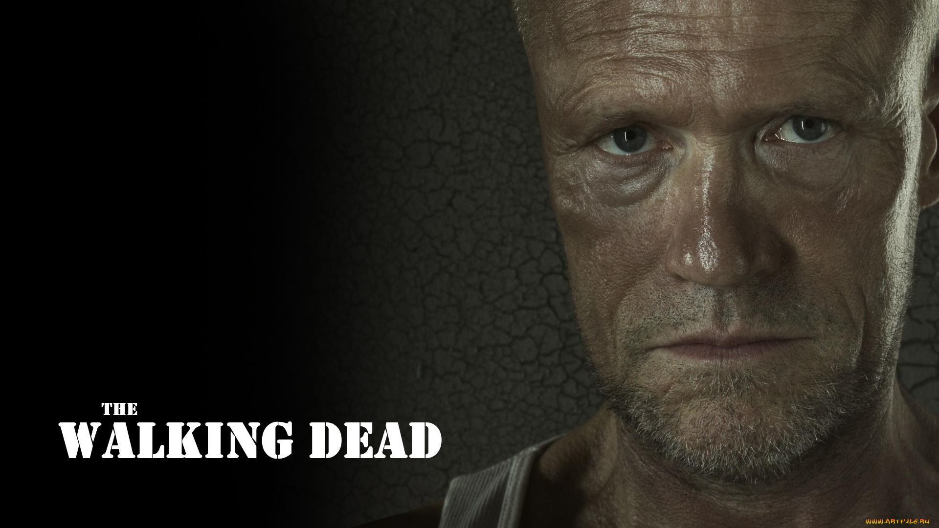 кино, фильмы, the, walking, dead, сериал, мэрлин