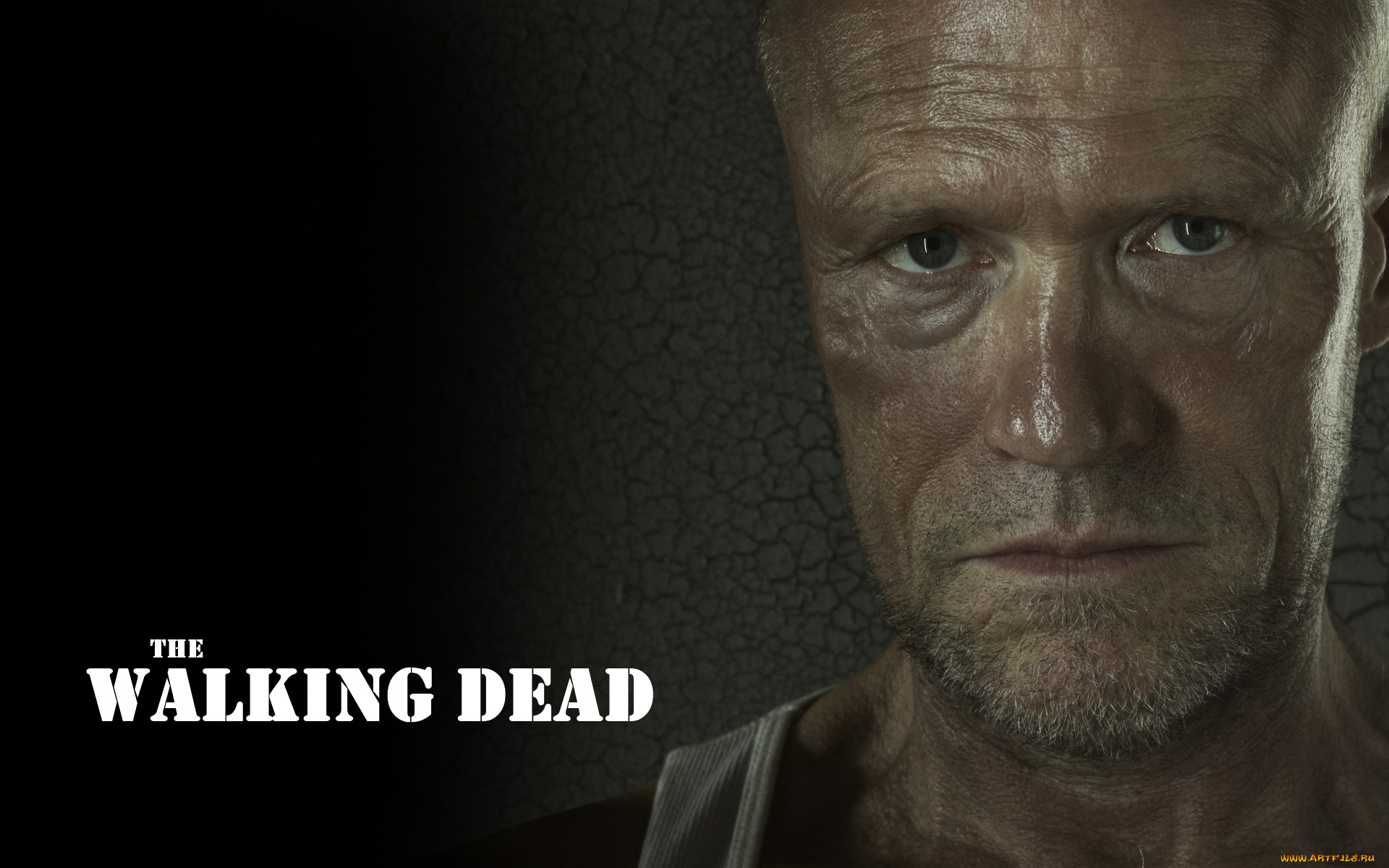 кино, фильмы, the, walking, dead, сериал, мэрлин