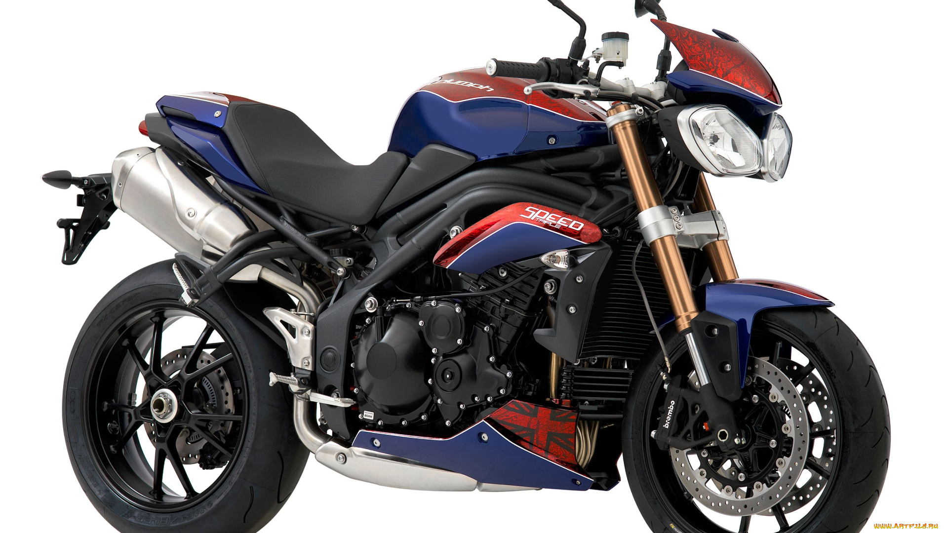 мотоциклы, triumph