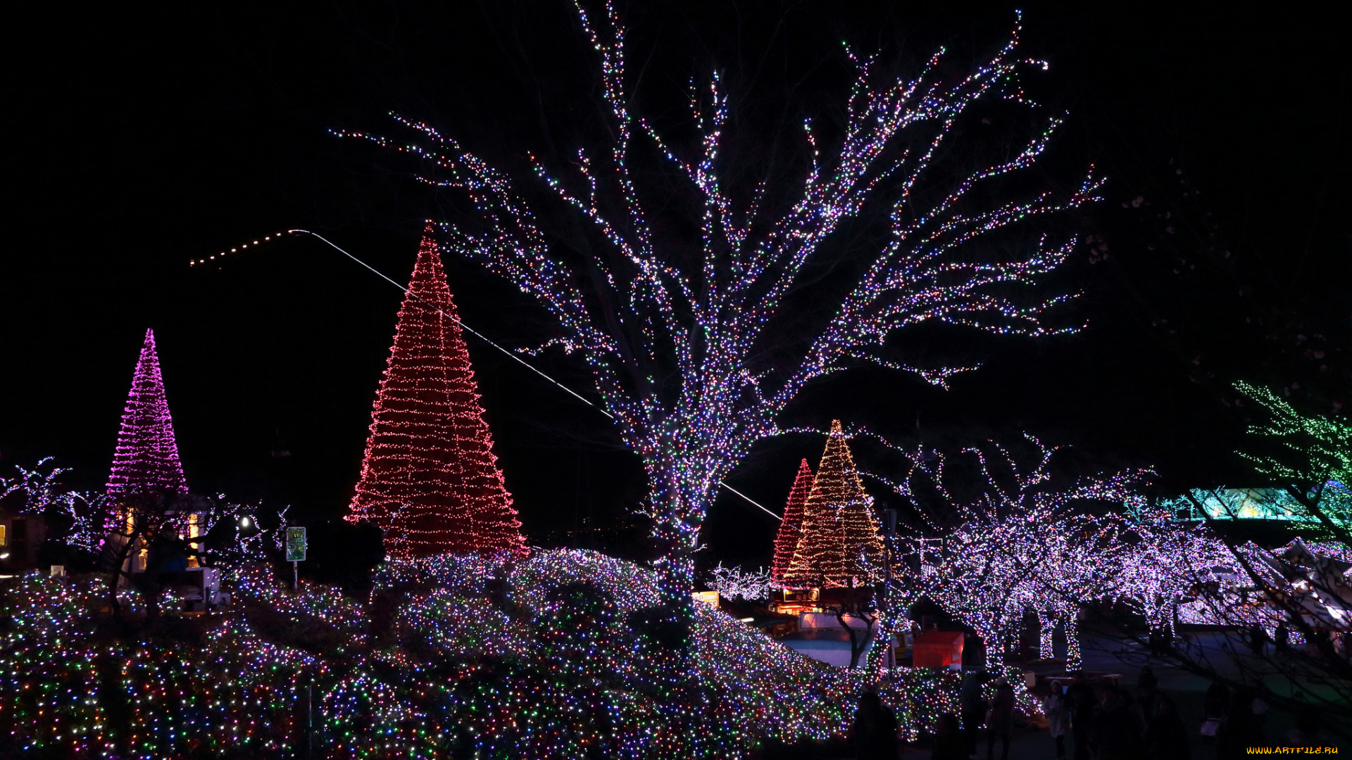 праздничные, новогодние, пейзажи, рождество, новый, год, ночь, огни, гирлянды