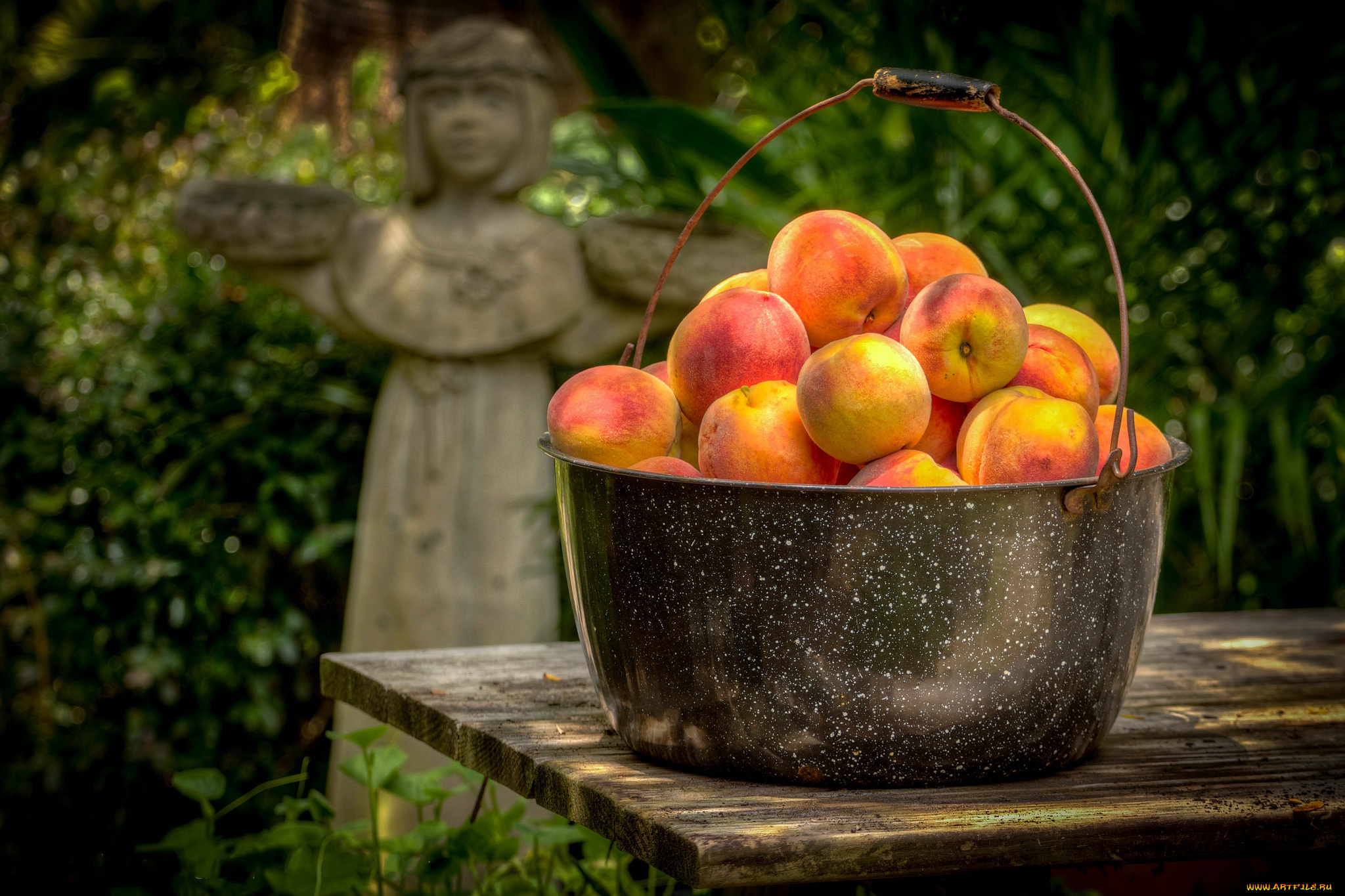 еда, персики, , сливы, , абрикосы, котелок