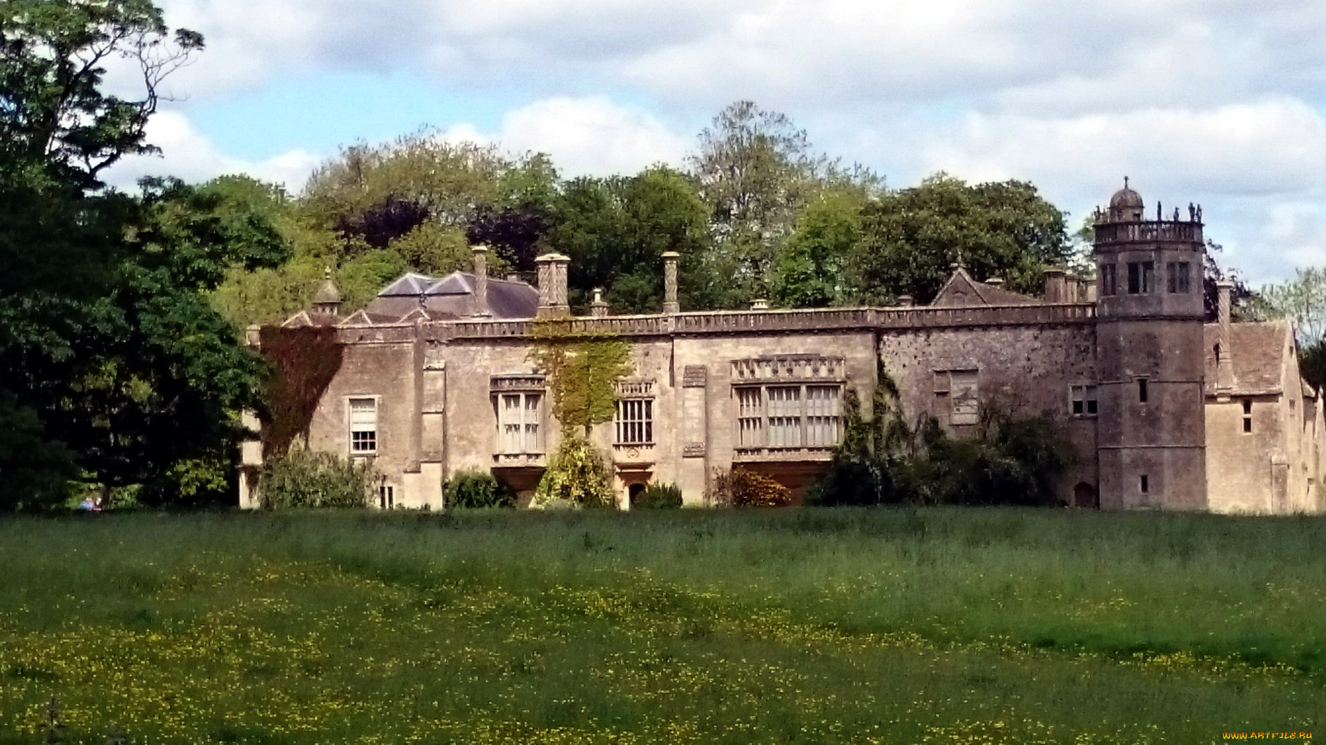 города, -, дворцы, , замки, , крепости, замок, луг, трава