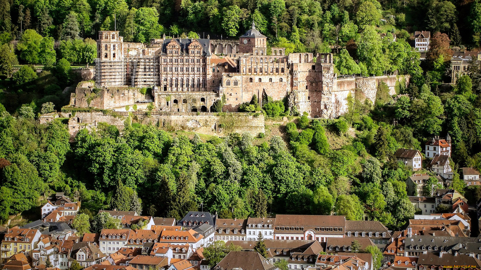 heidelberg, castle, города, замки, германии, heidelberg, castle