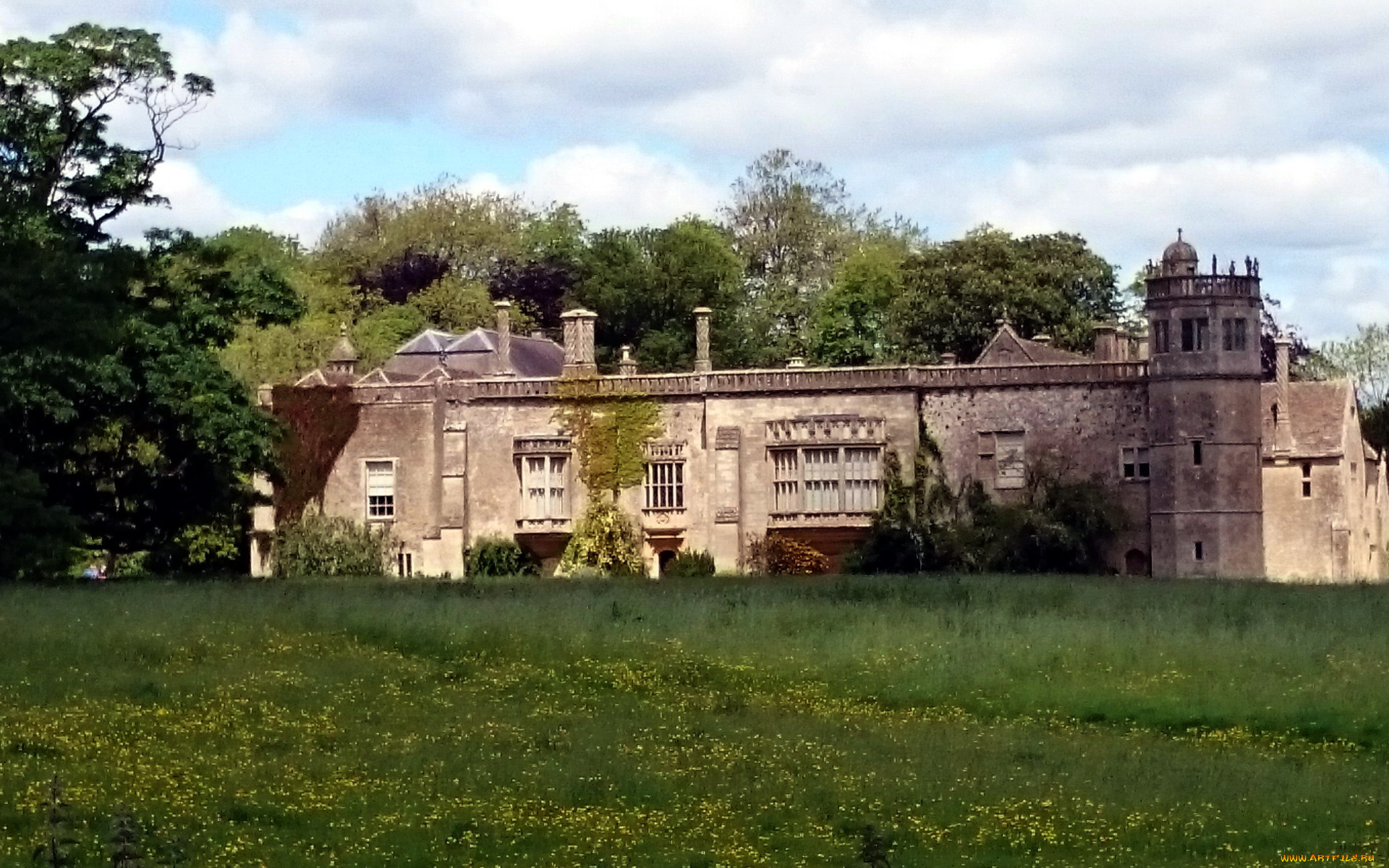 города, -, дворцы, , замки, , крепости, замок, луг, трава