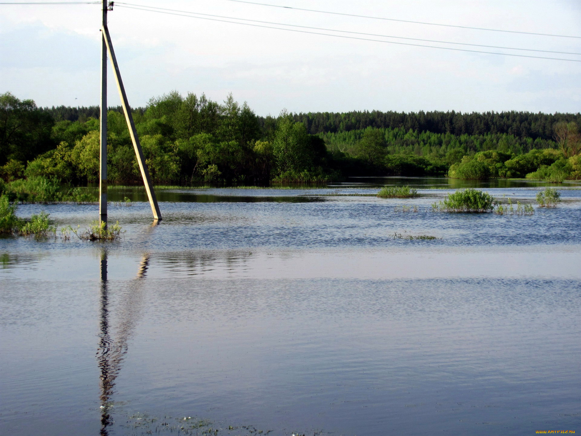 природа, реки, озера, весна, разлив