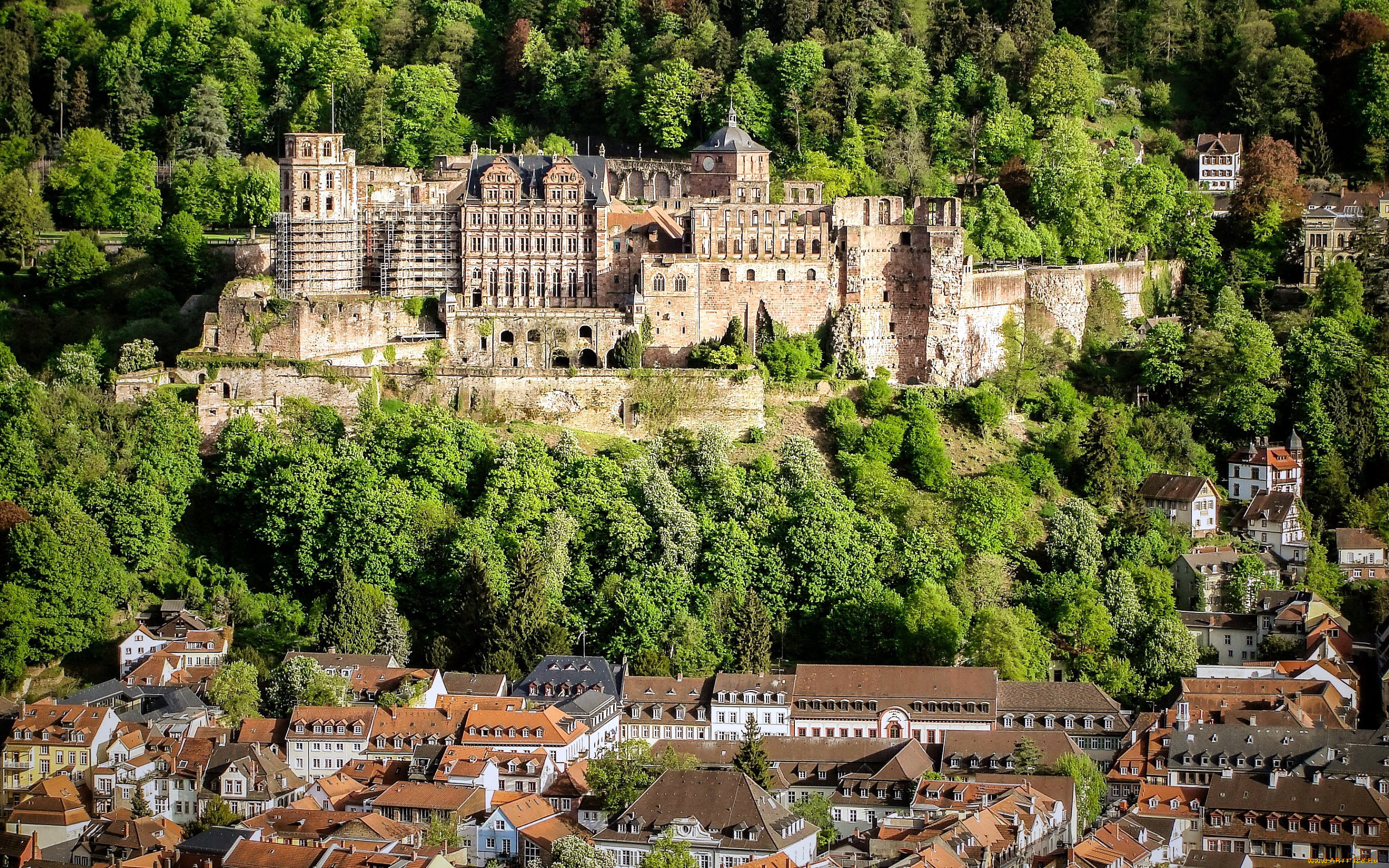 heidelberg, castle, города, замки, германии, heidelberg, castle