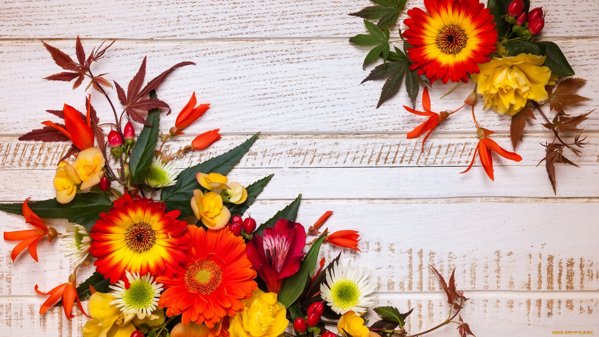 цветы, букеты, , композиции, leaves, композиция, wood, осень, autumn, листья, flowers, frame, floral