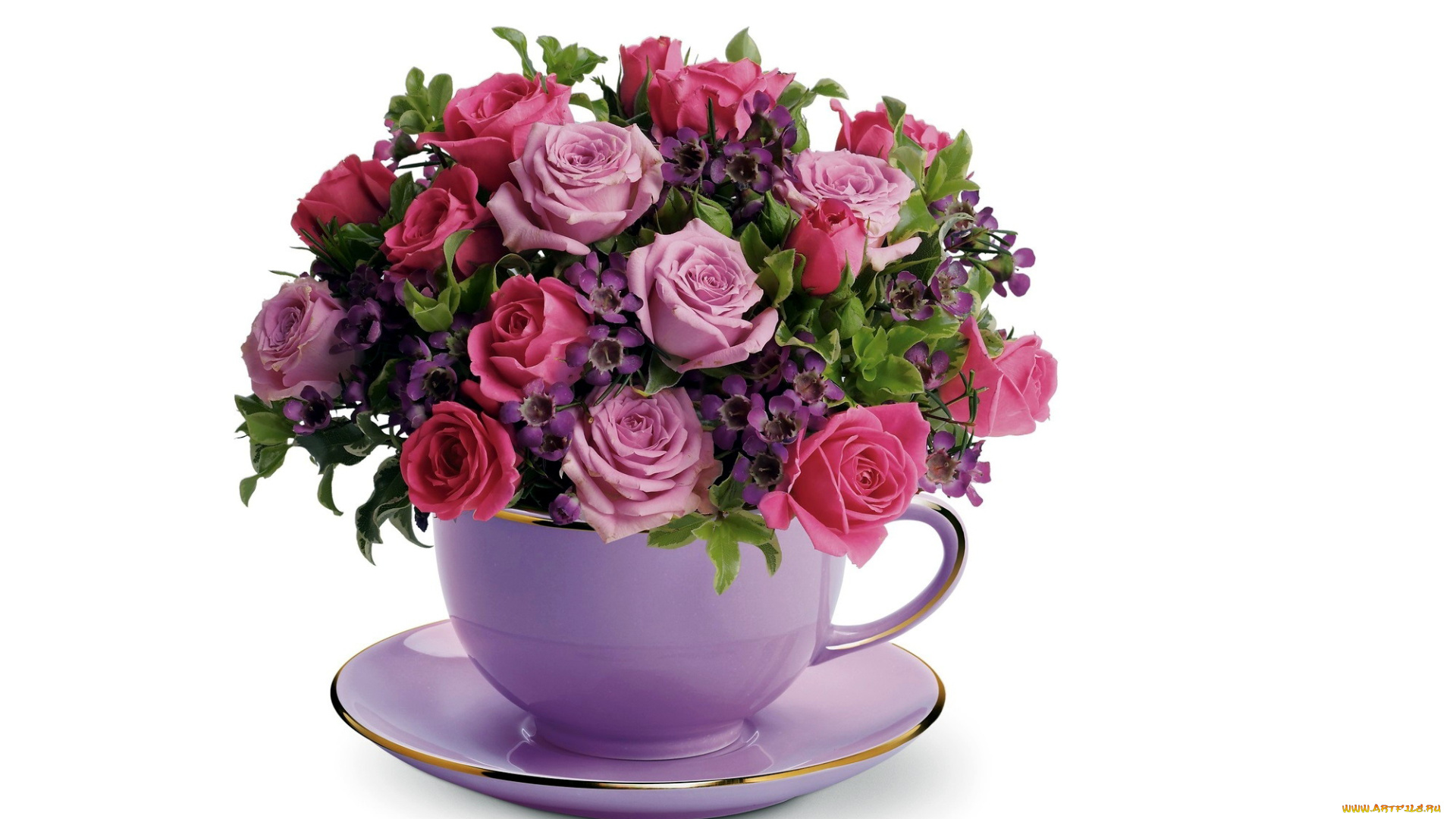 цветы, букеты, , композиции, розы, букет, чашка