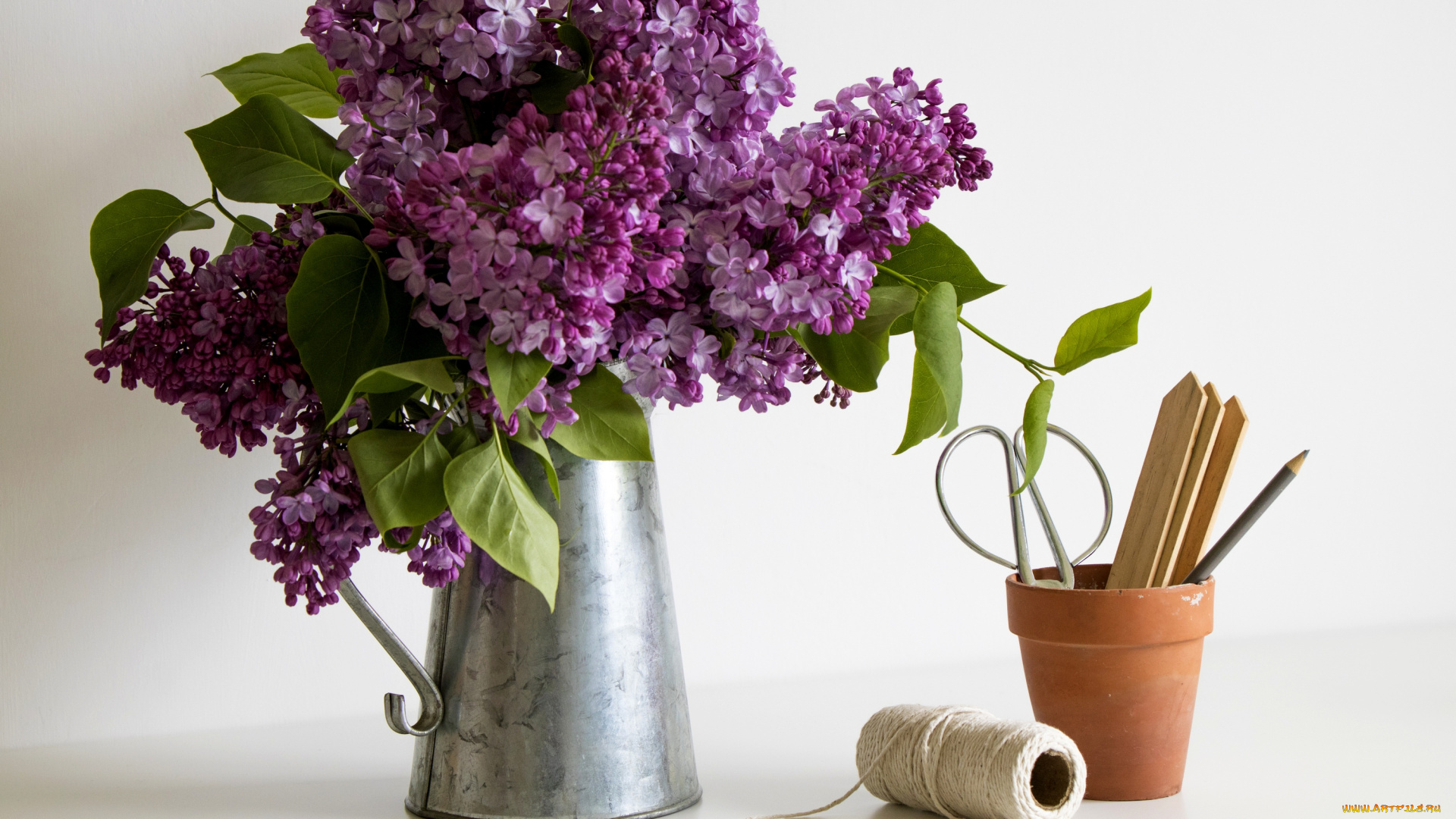 цветы, сирень, лейка, букет
