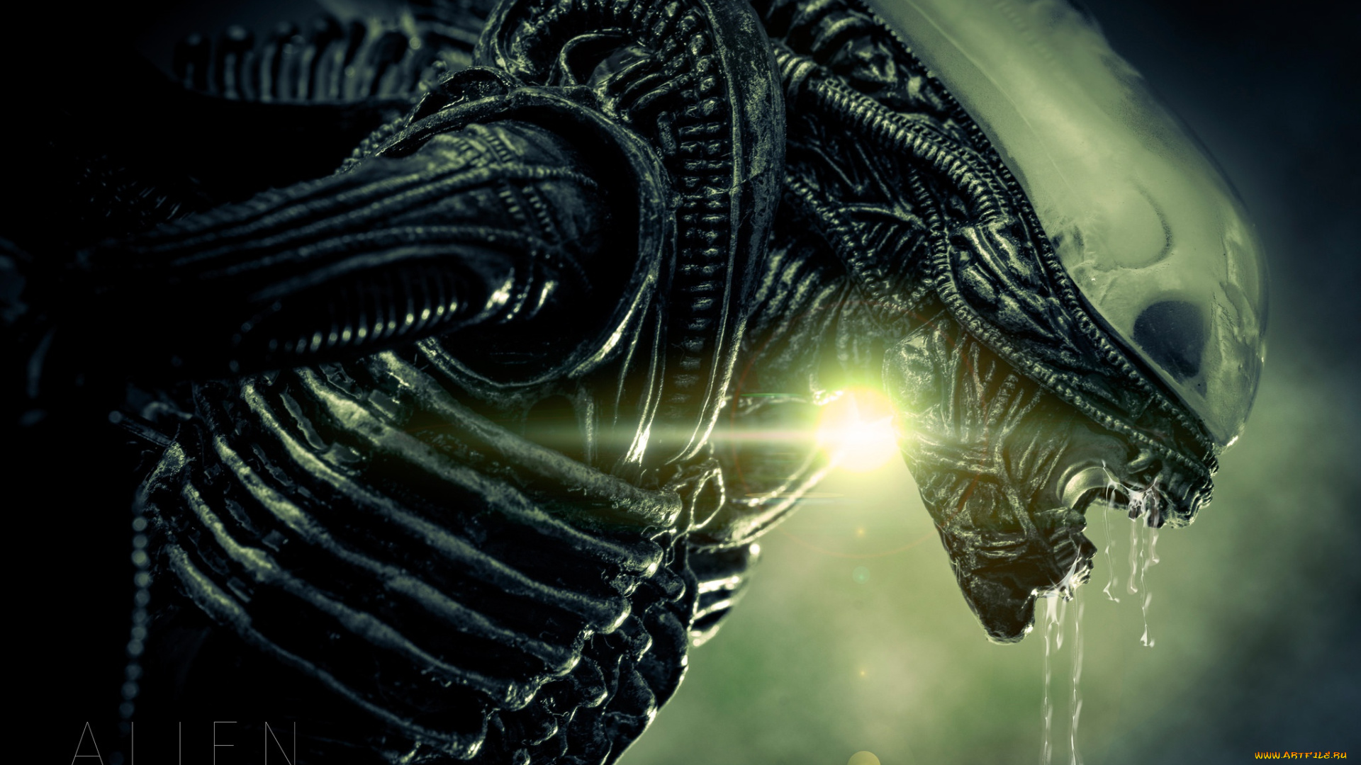 фэнтези, Чужой, , alien, чужой