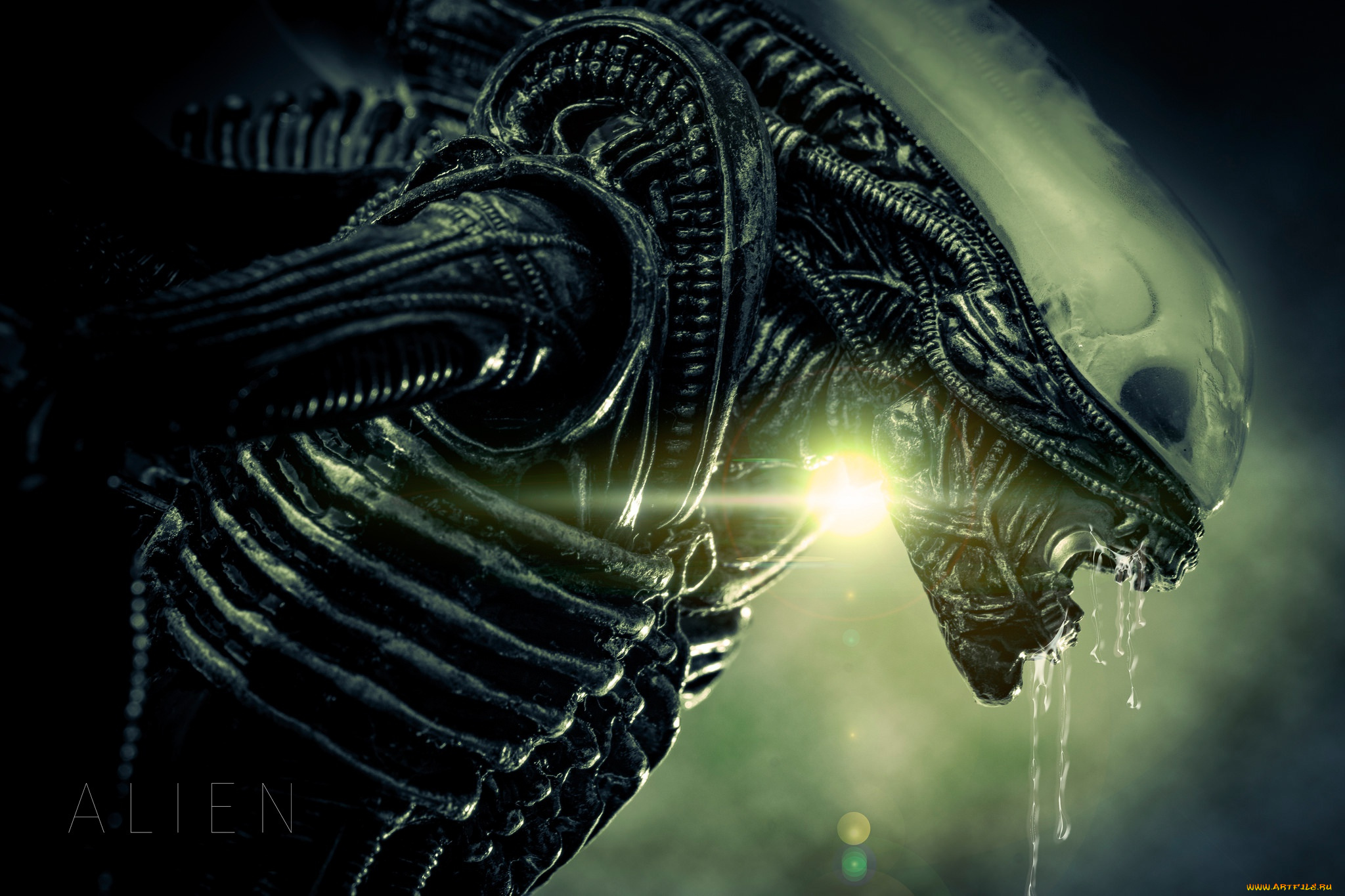 фэнтези, Чужой, , alien, чужой