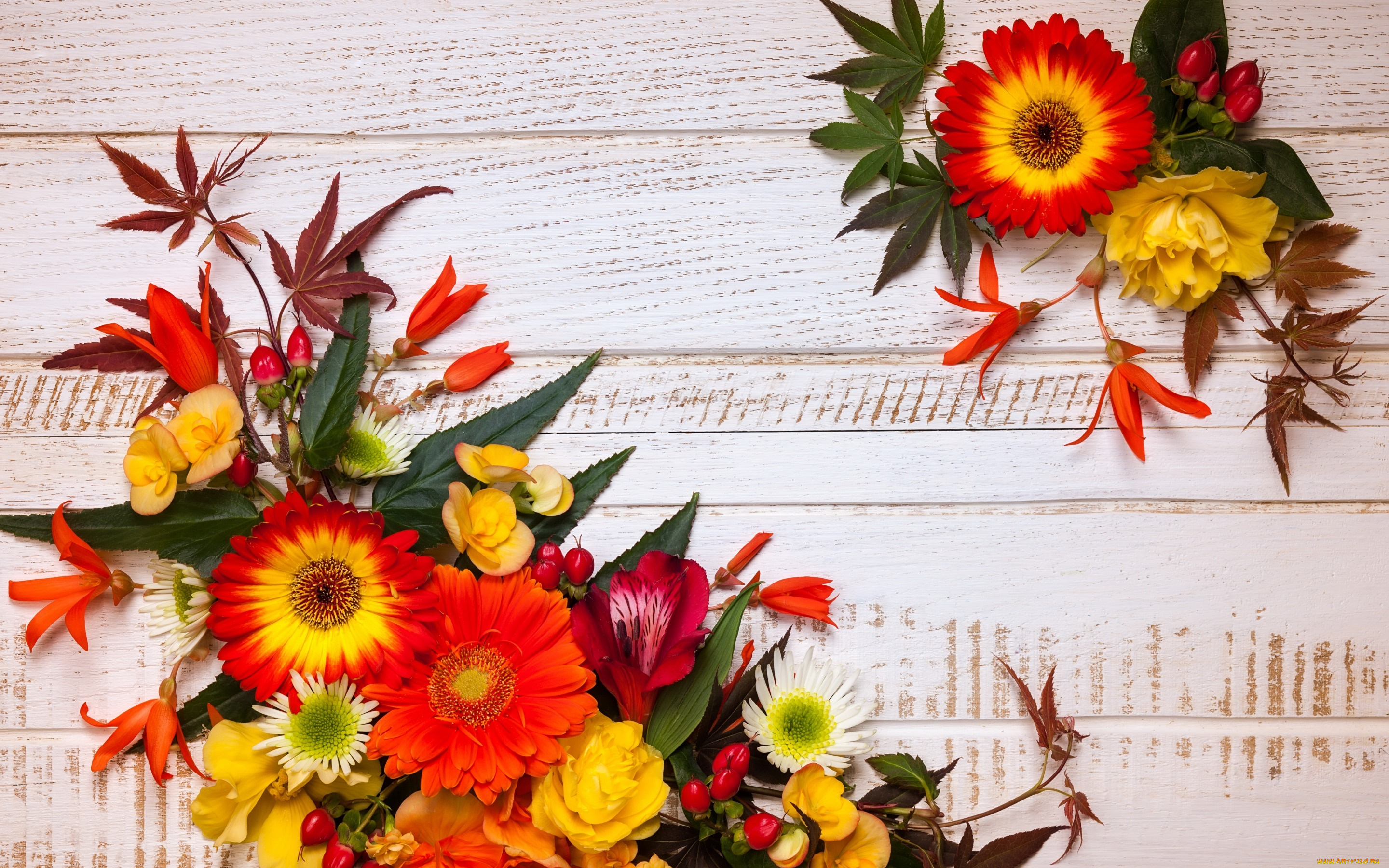 цветы, букеты, , композиции, leaves, композиция, wood, осень, autumn, листья, flowers, frame, floral