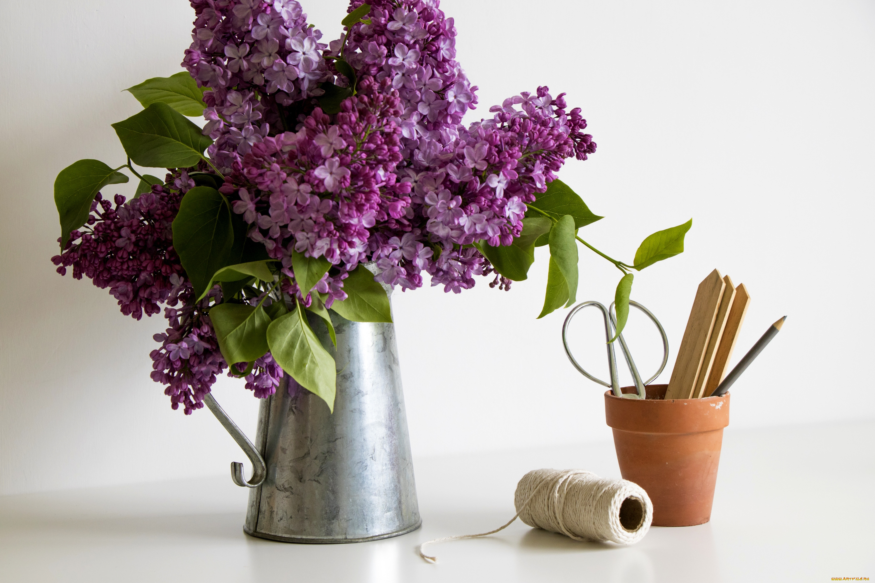цветы, сирень, лейка, букет