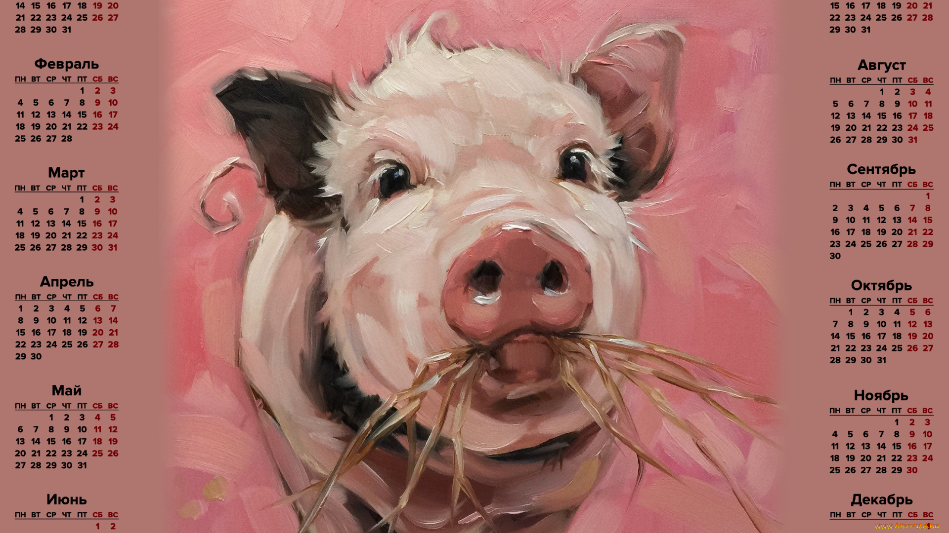 календари, праздники, , салюты, свинья, поросенок