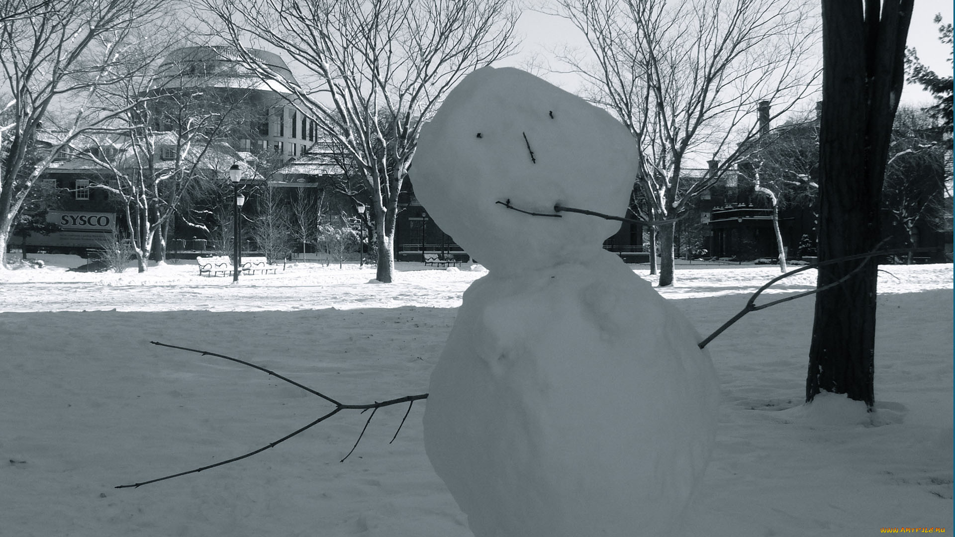 праздничные, снеговики, снеговик, снег, здание, парк