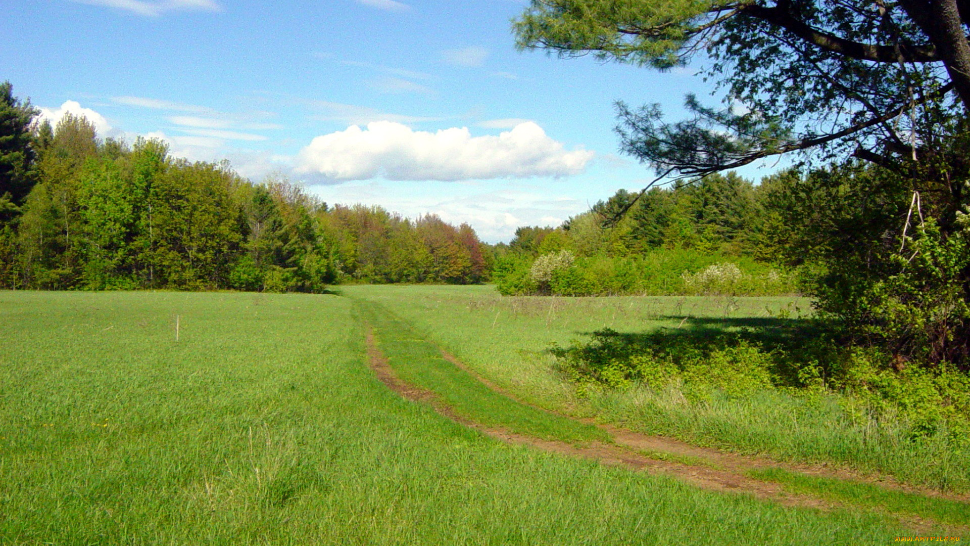 природа, дороги, дорога, полевая