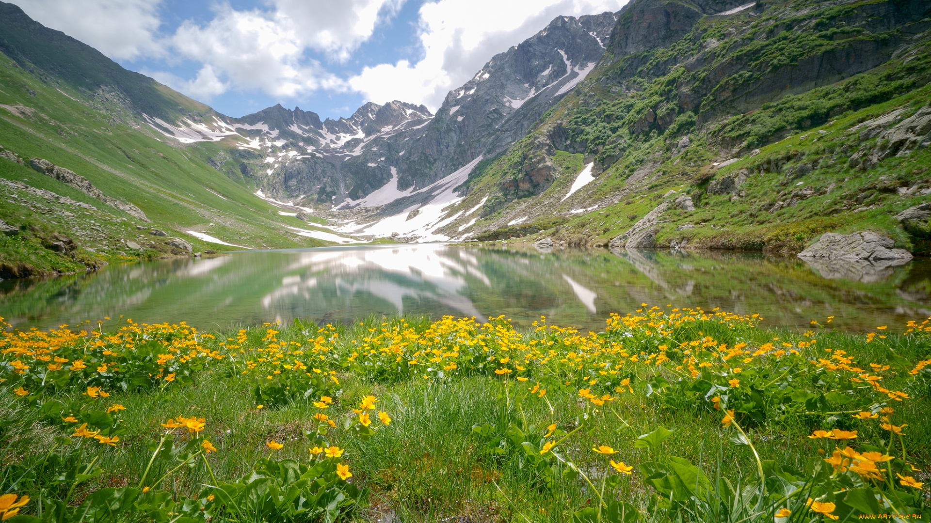 природа, луга, простор