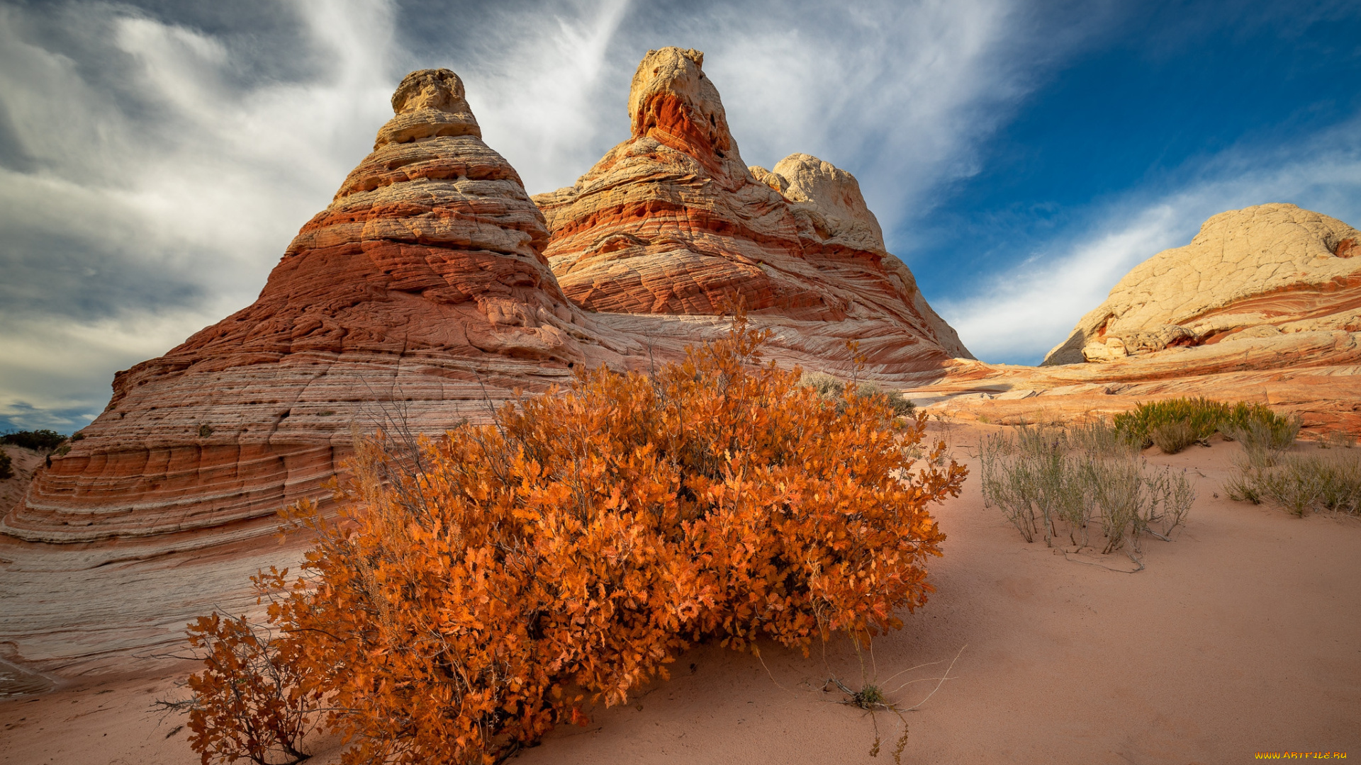 природа, пустыни, простор