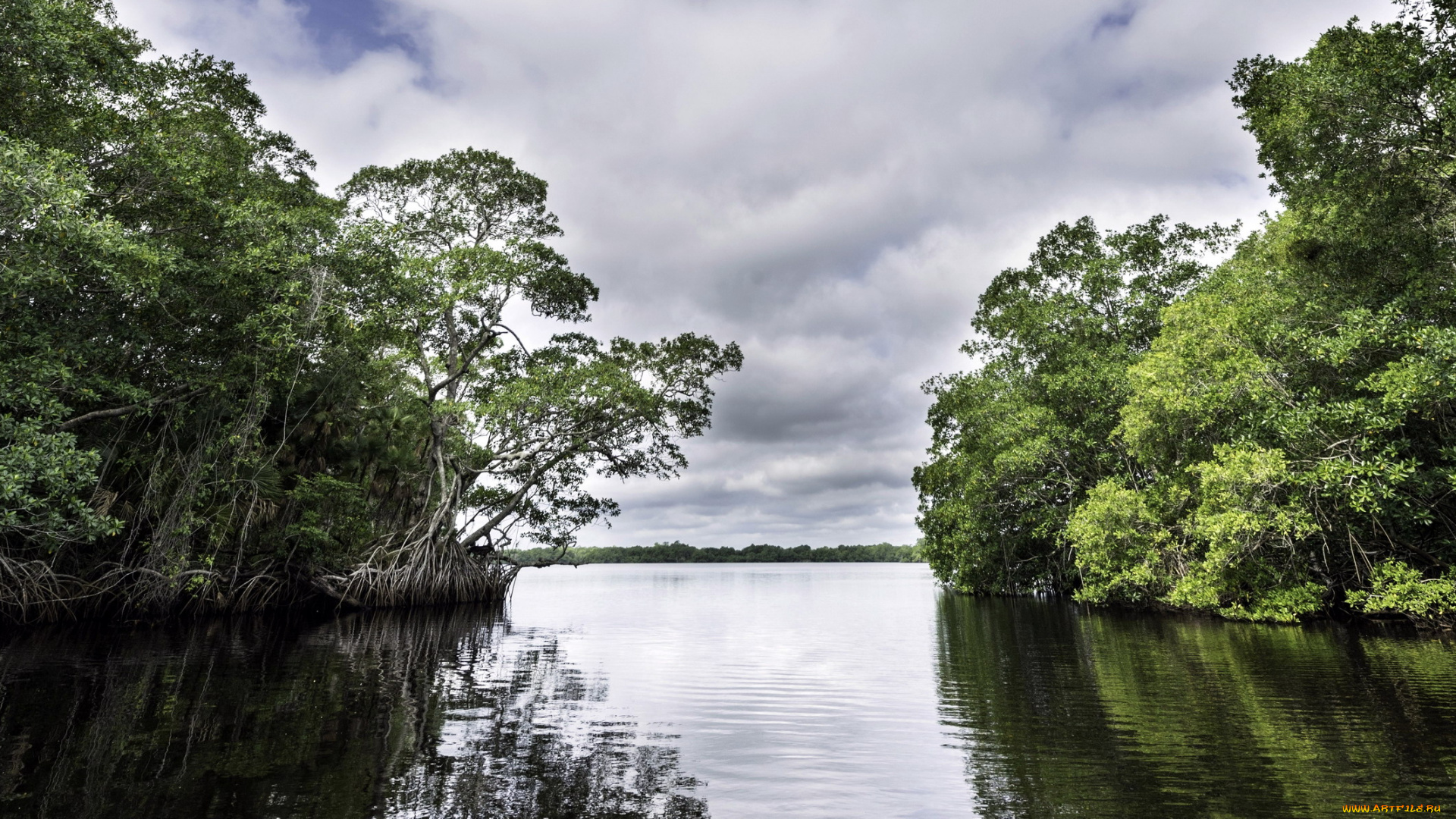 природа, реки, озера, река