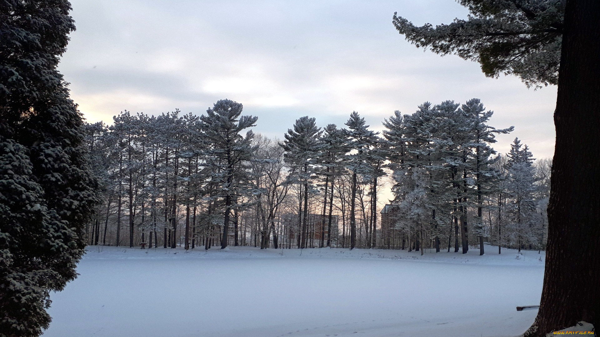 природа, зима, снег