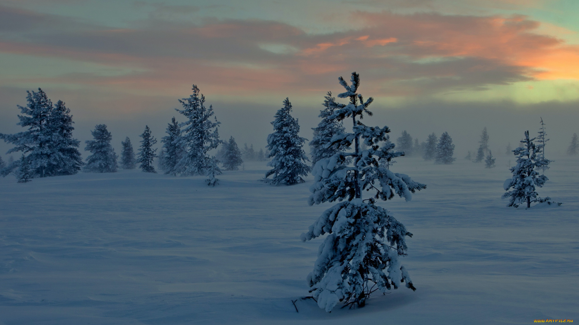 природа, зима, снег, ночь, туман