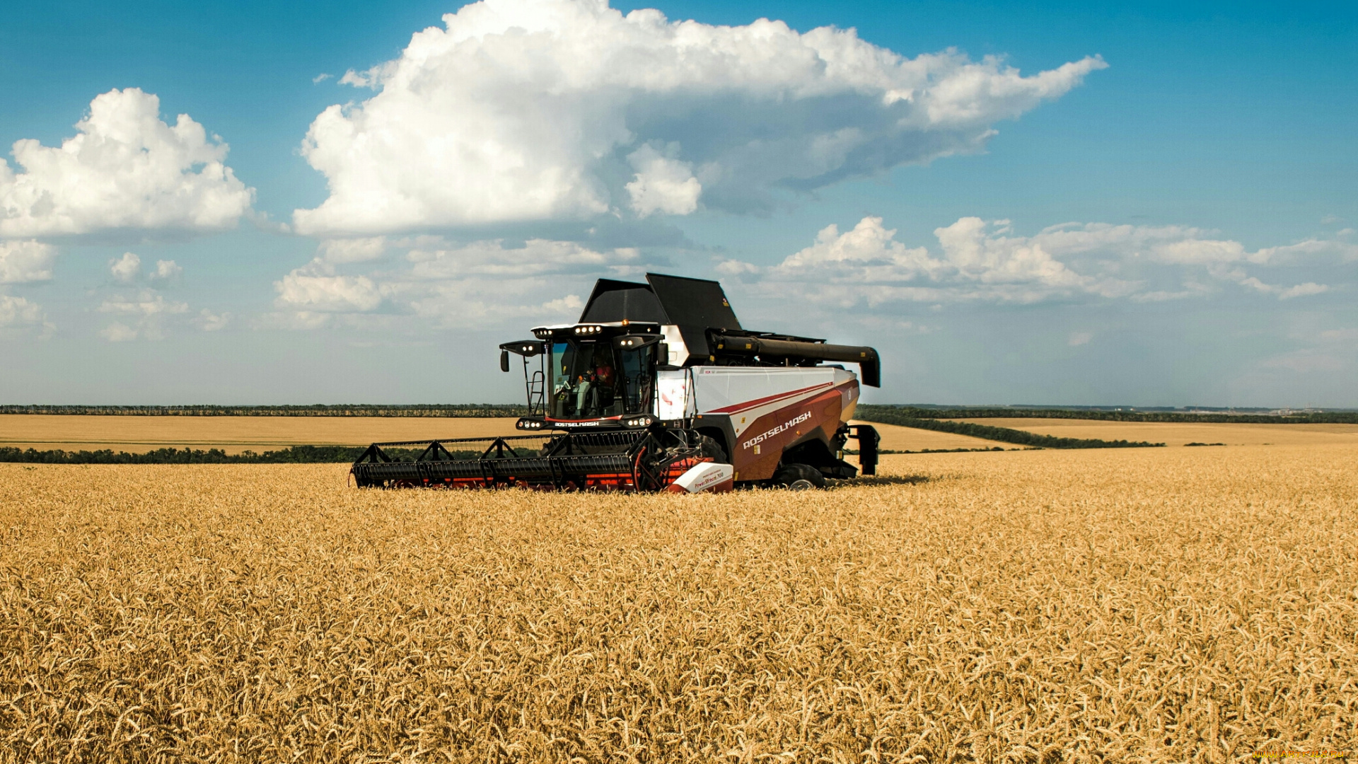 техника, комбайны, пшеница, поле, сельхозтехника, ростсельмаш