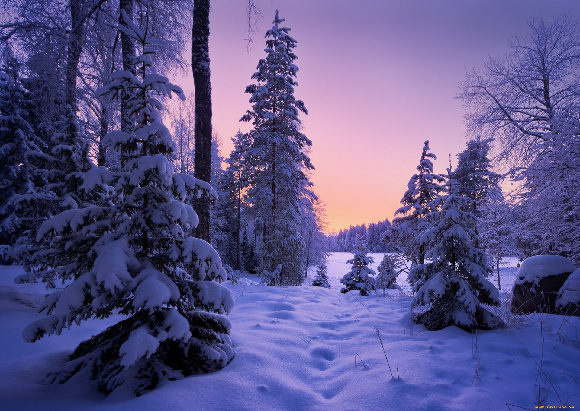 природа, зима, простор