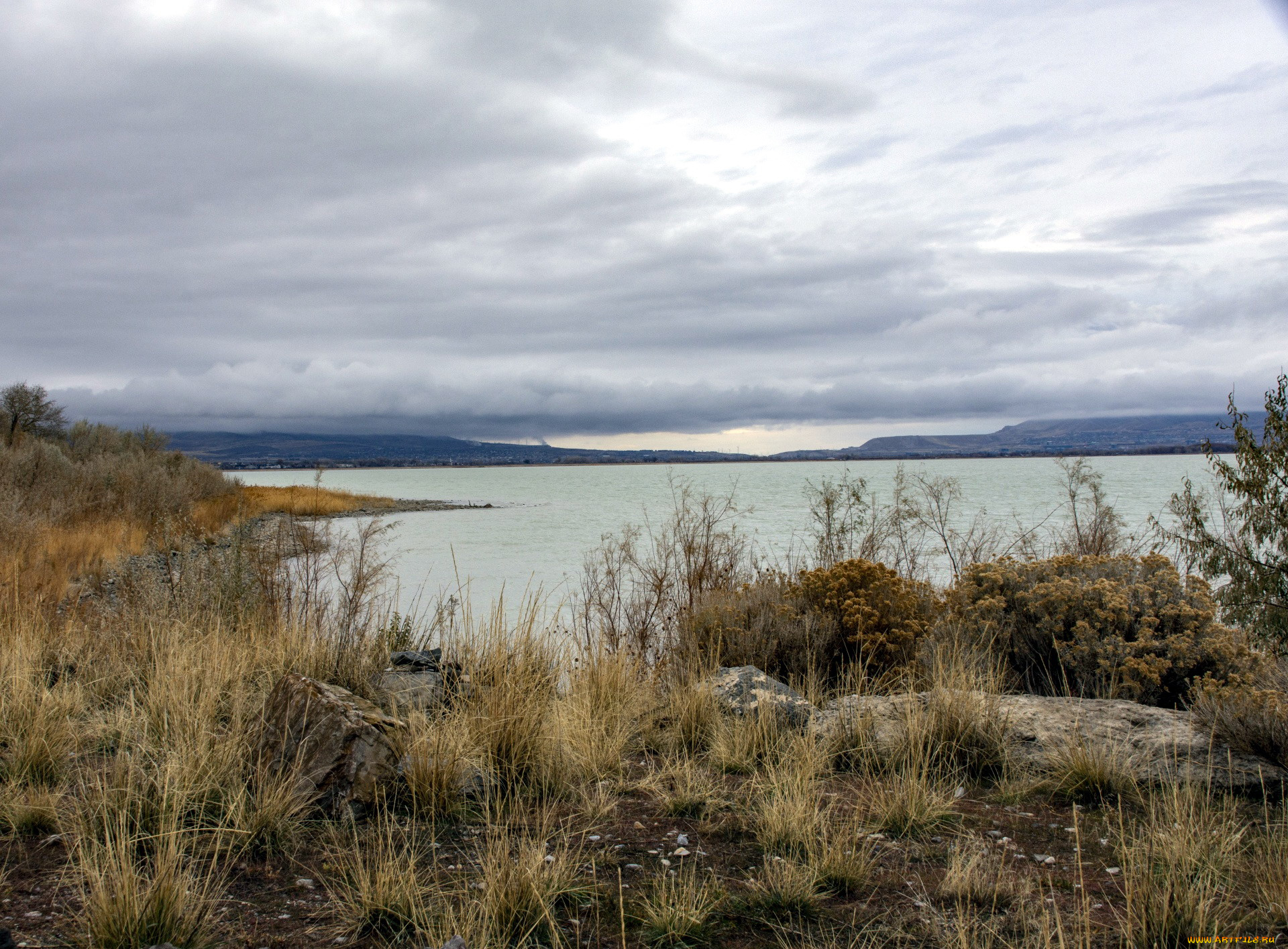 природа, реки, озера, река