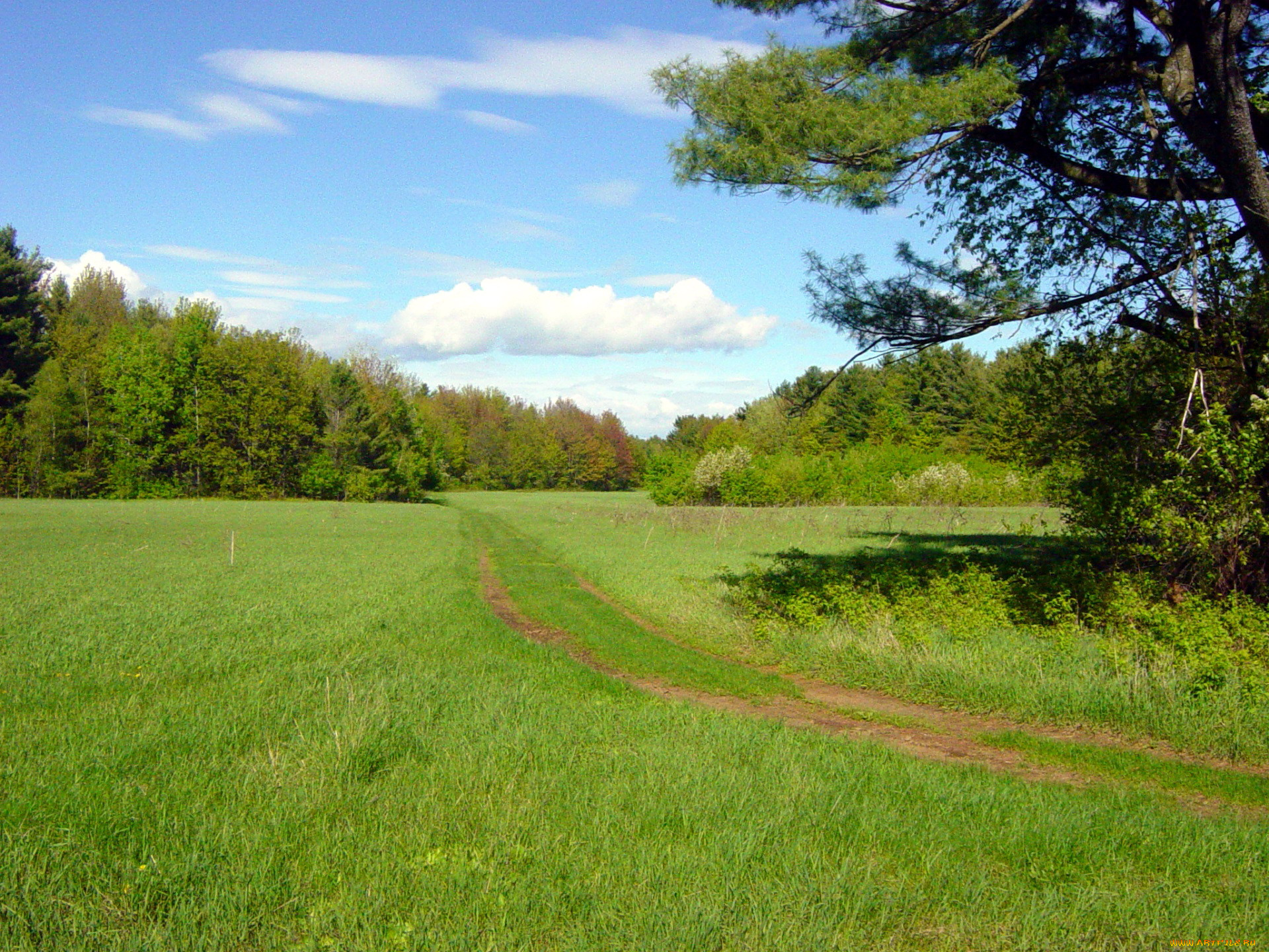 природа, дороги, дорога, полевая