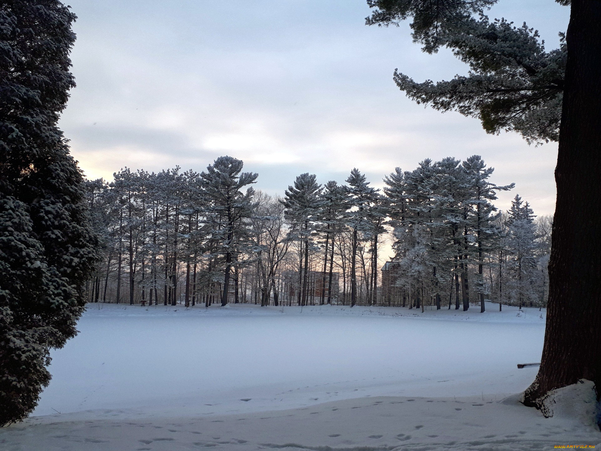 природа, зима, снег