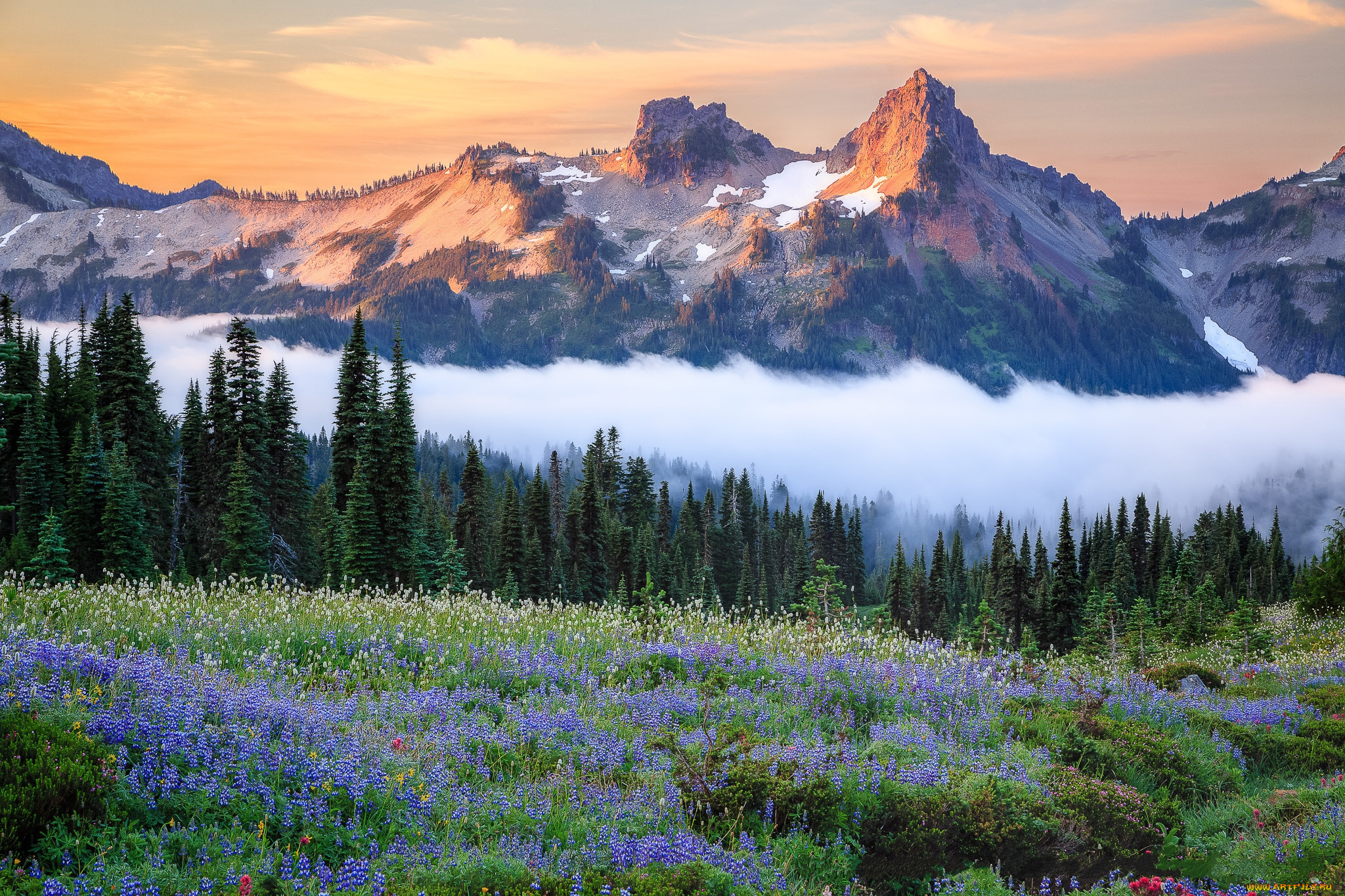 природа, горы, простор